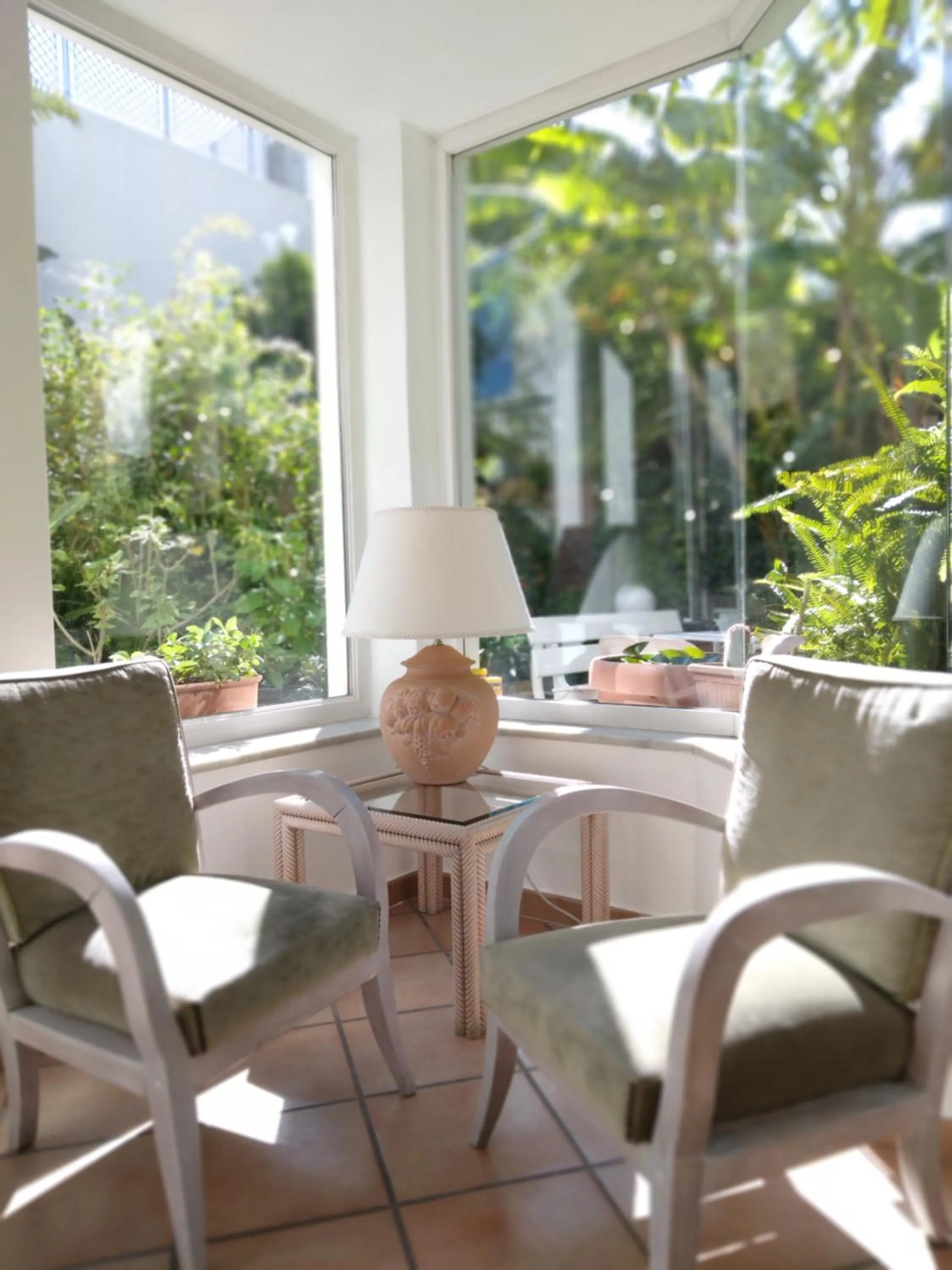 Garden in Hotel Villa Angelica