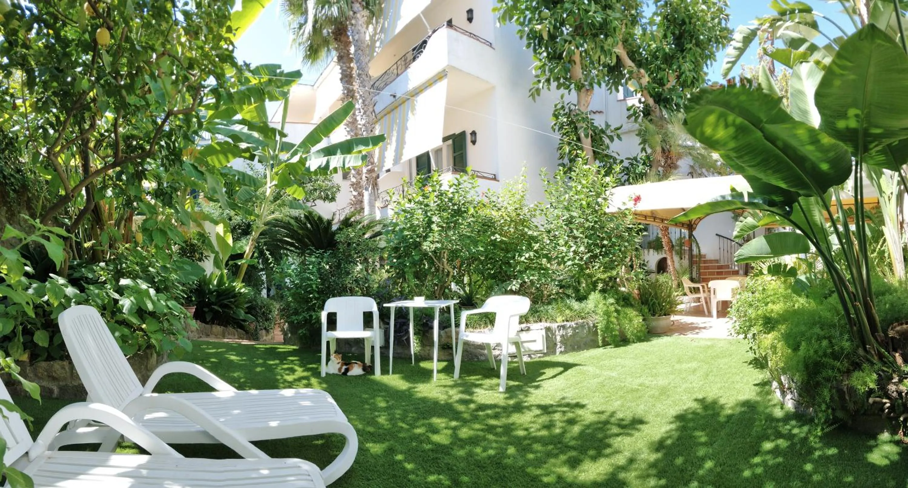 Garden view in Hotel Villa Angelica