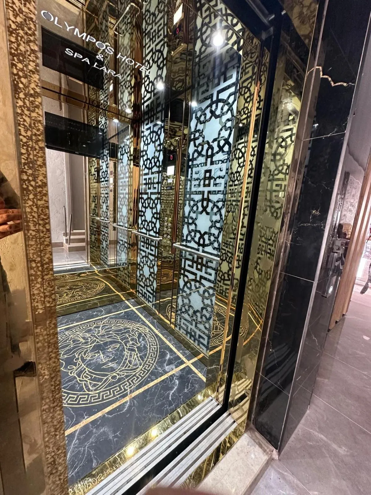 elevator in DIONISUS LARA