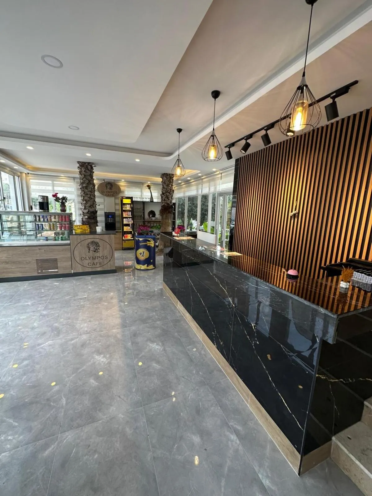 Lobby or reception in DIONISUS LARA