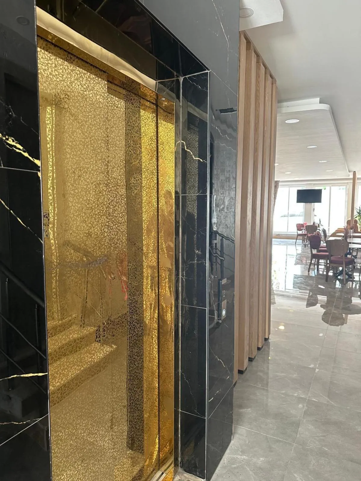 elevator in DIONISUS LARA