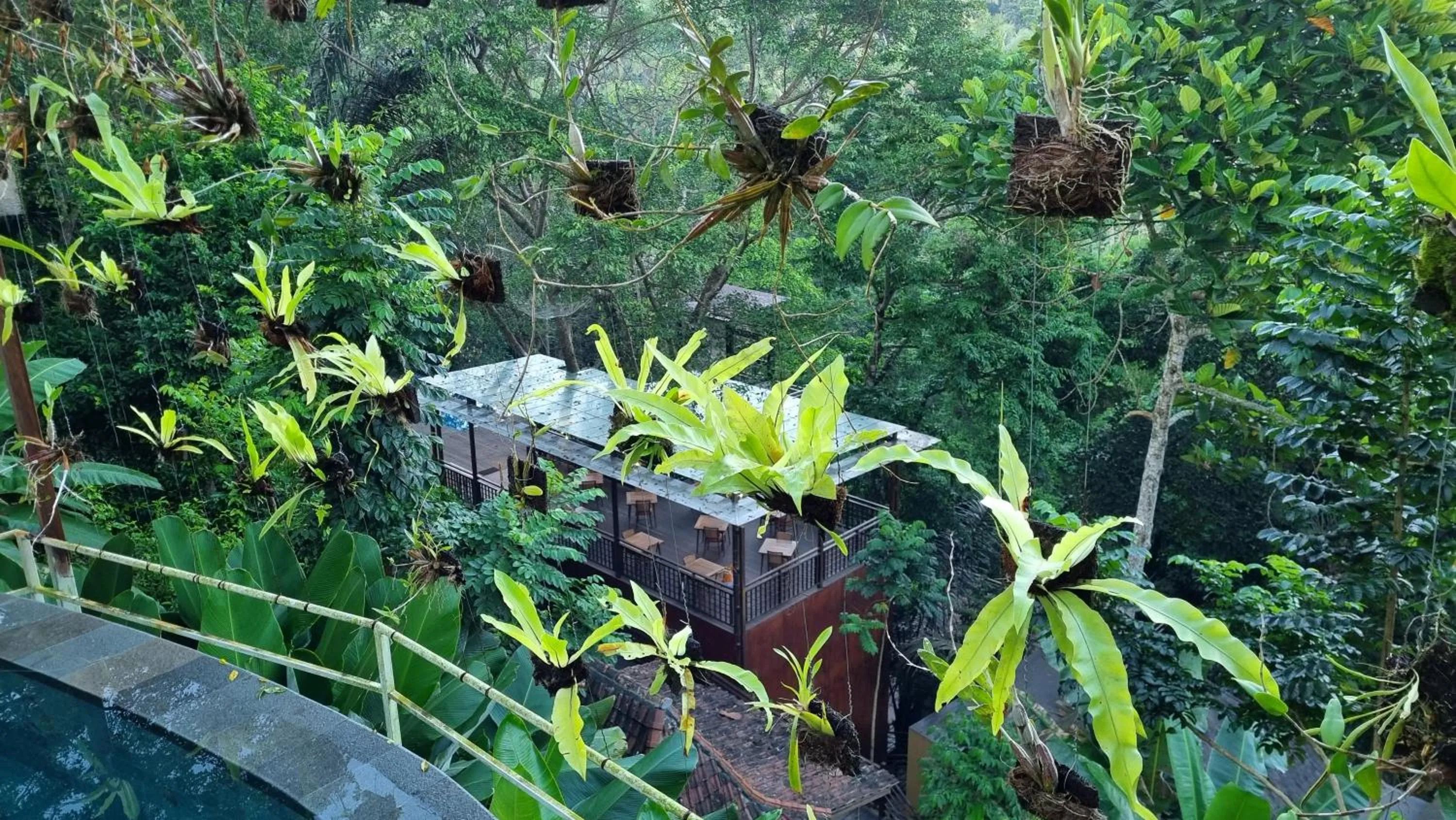Garden in The Sebali Resort