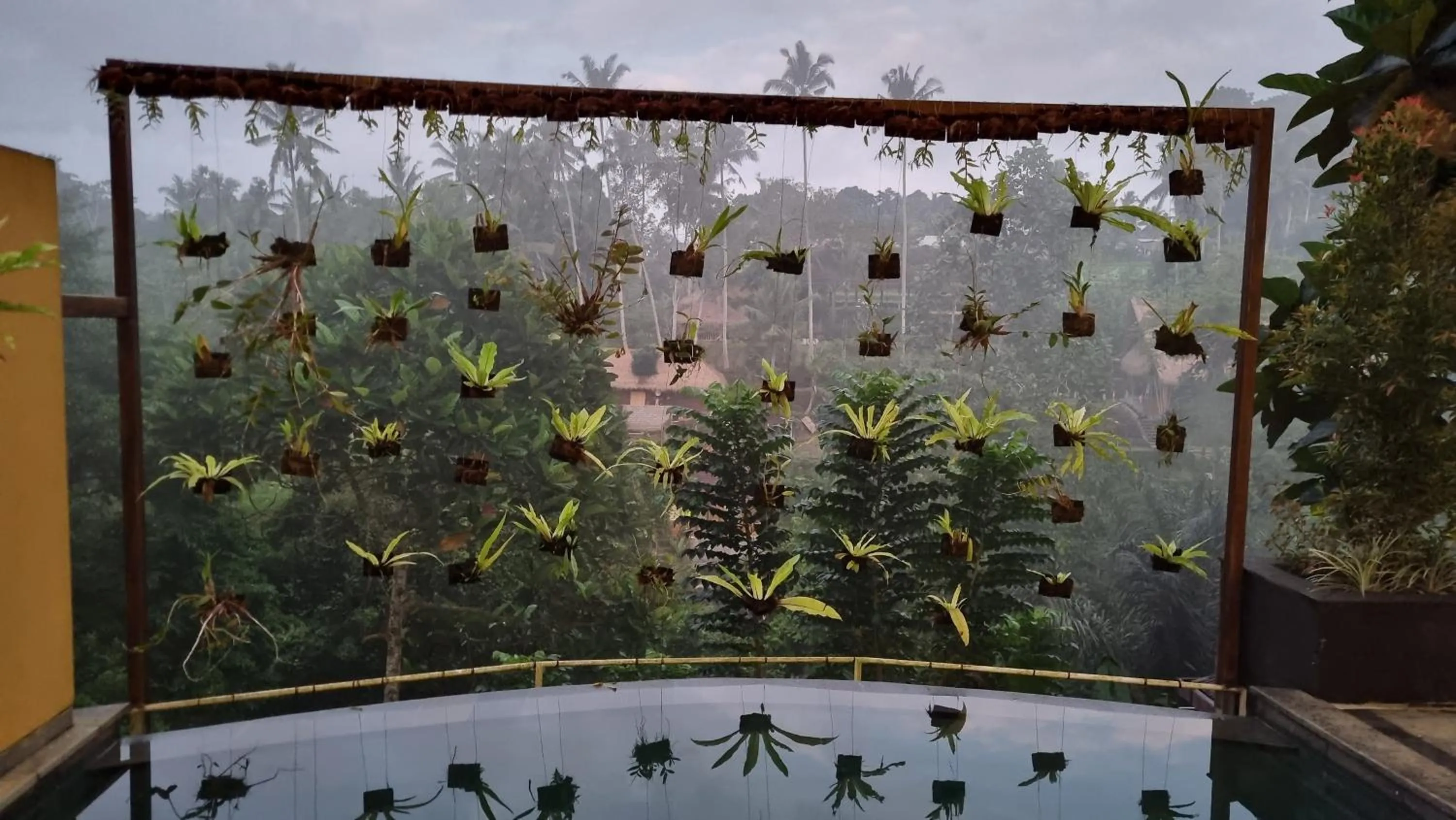 Pool view in The Sebali Resort