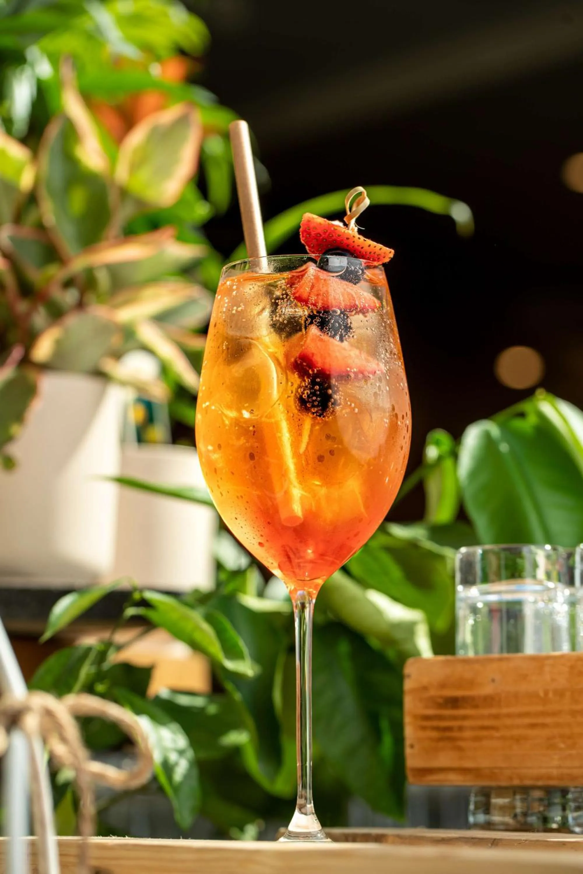 Lounge or bar in Radisson Blu Sobieski