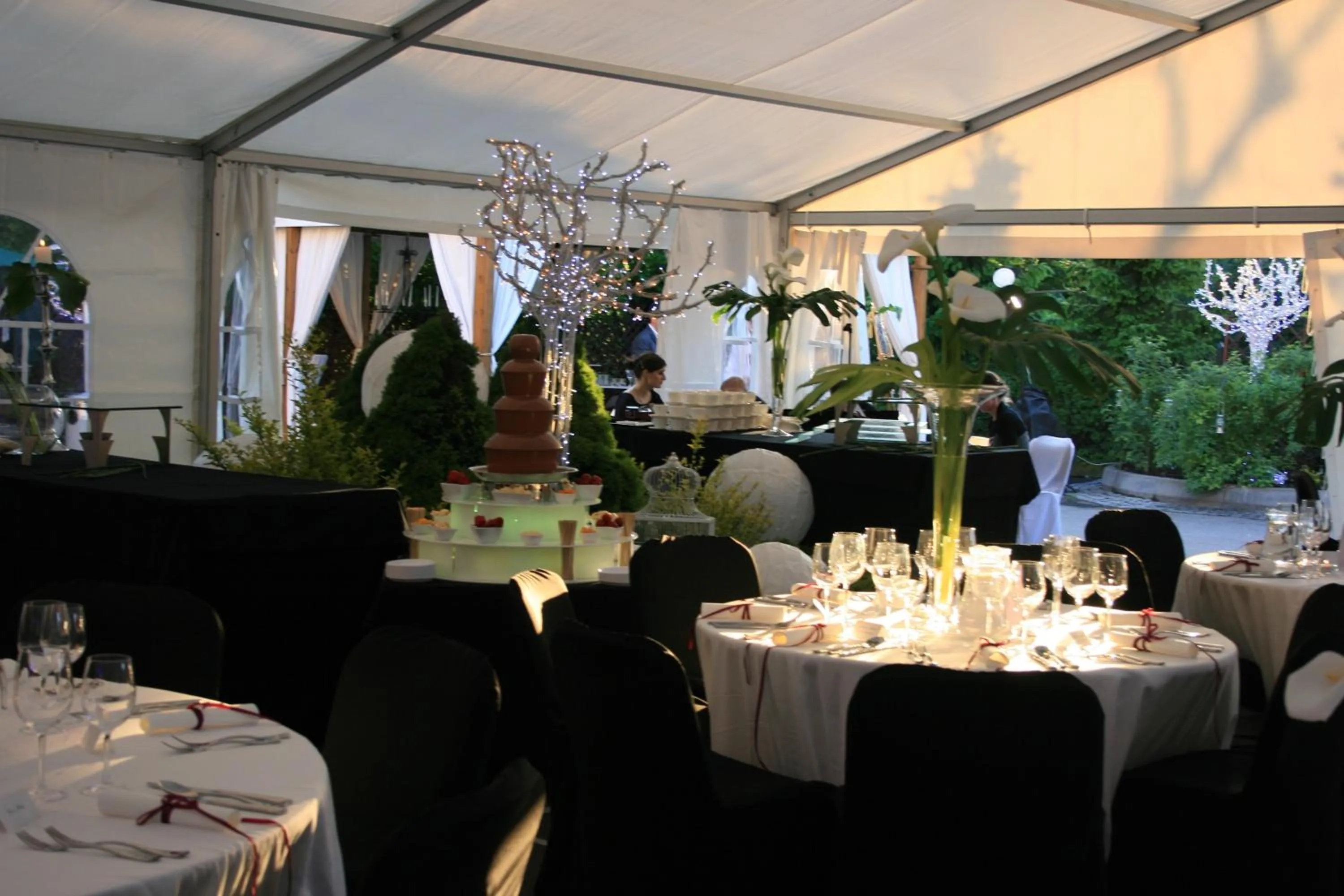 Banquet/Function facilities in Hotel Petrus