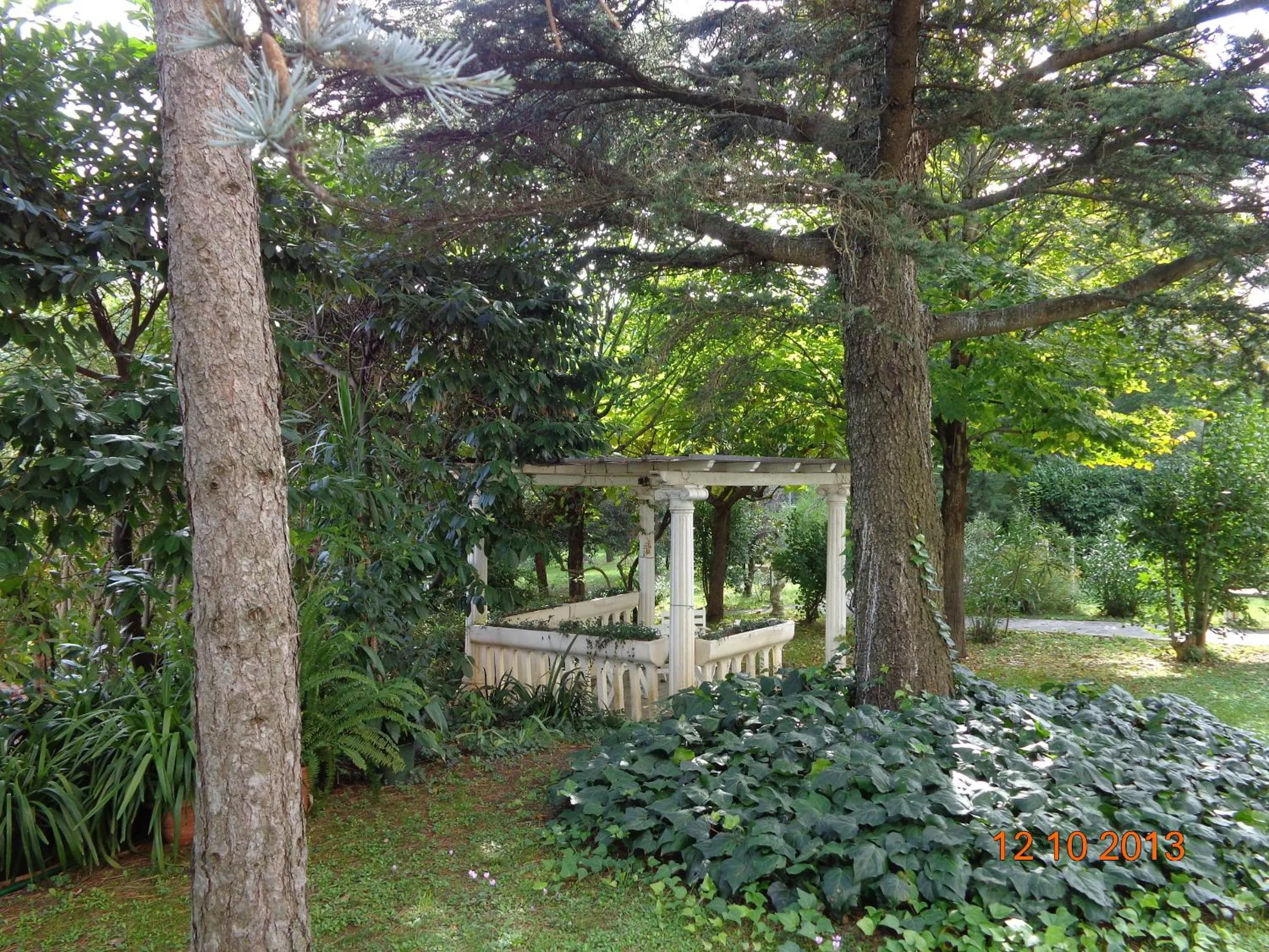 Garden in Park Hotel