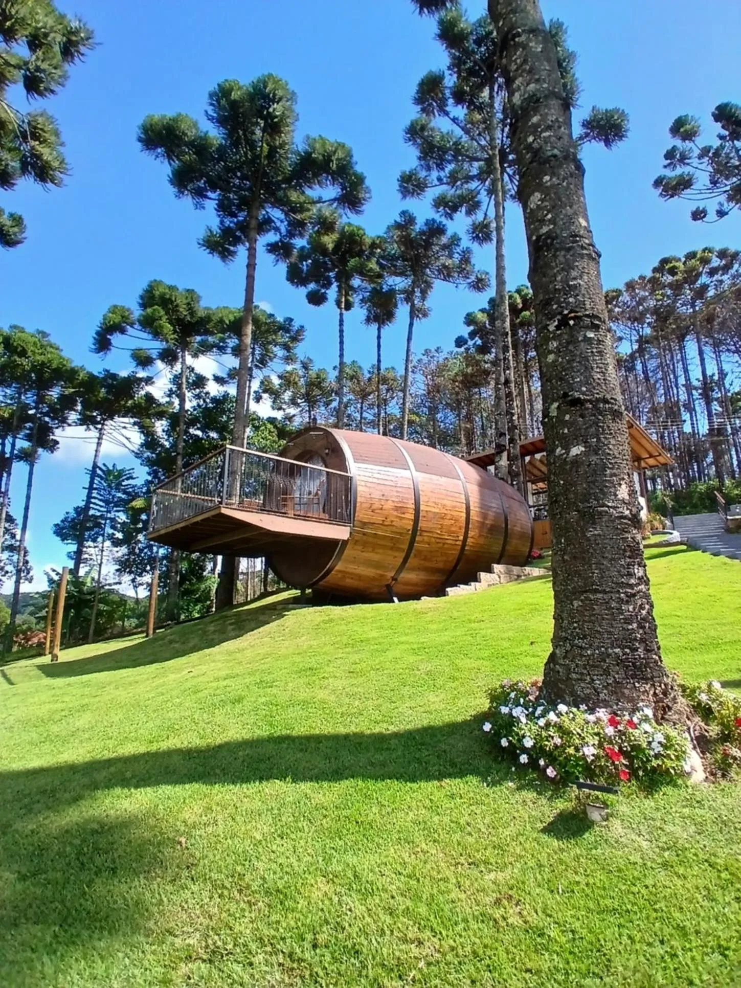 Natural landscape in Pousada Villa Barril