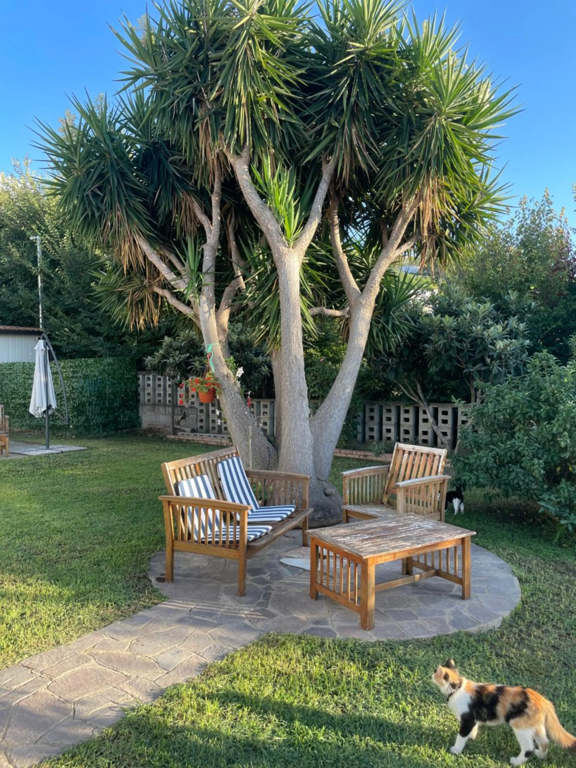 Garden in B&B Sunset da carla