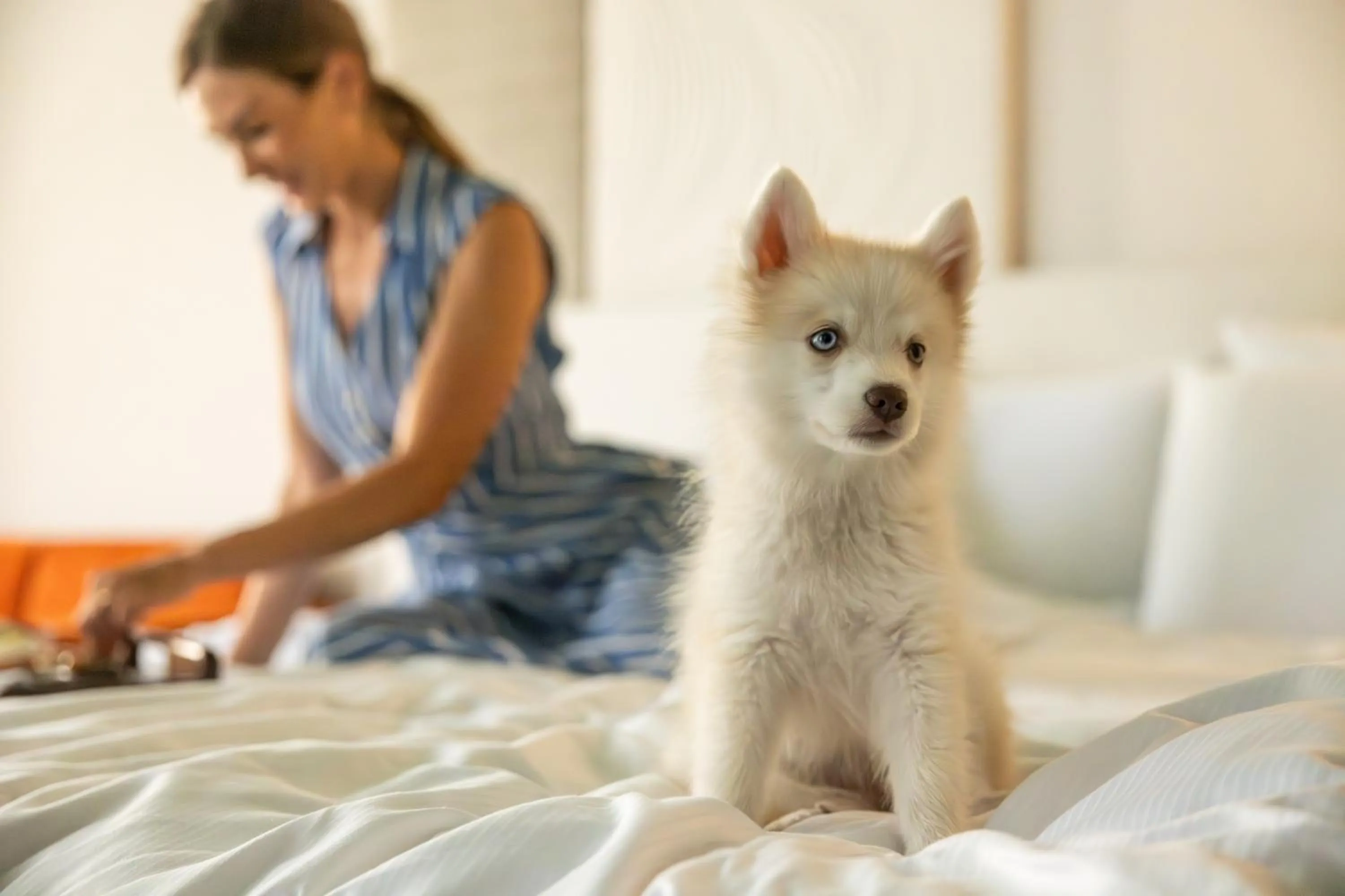 Pets in Rezydent Hotel Sopot - MGallery Collection