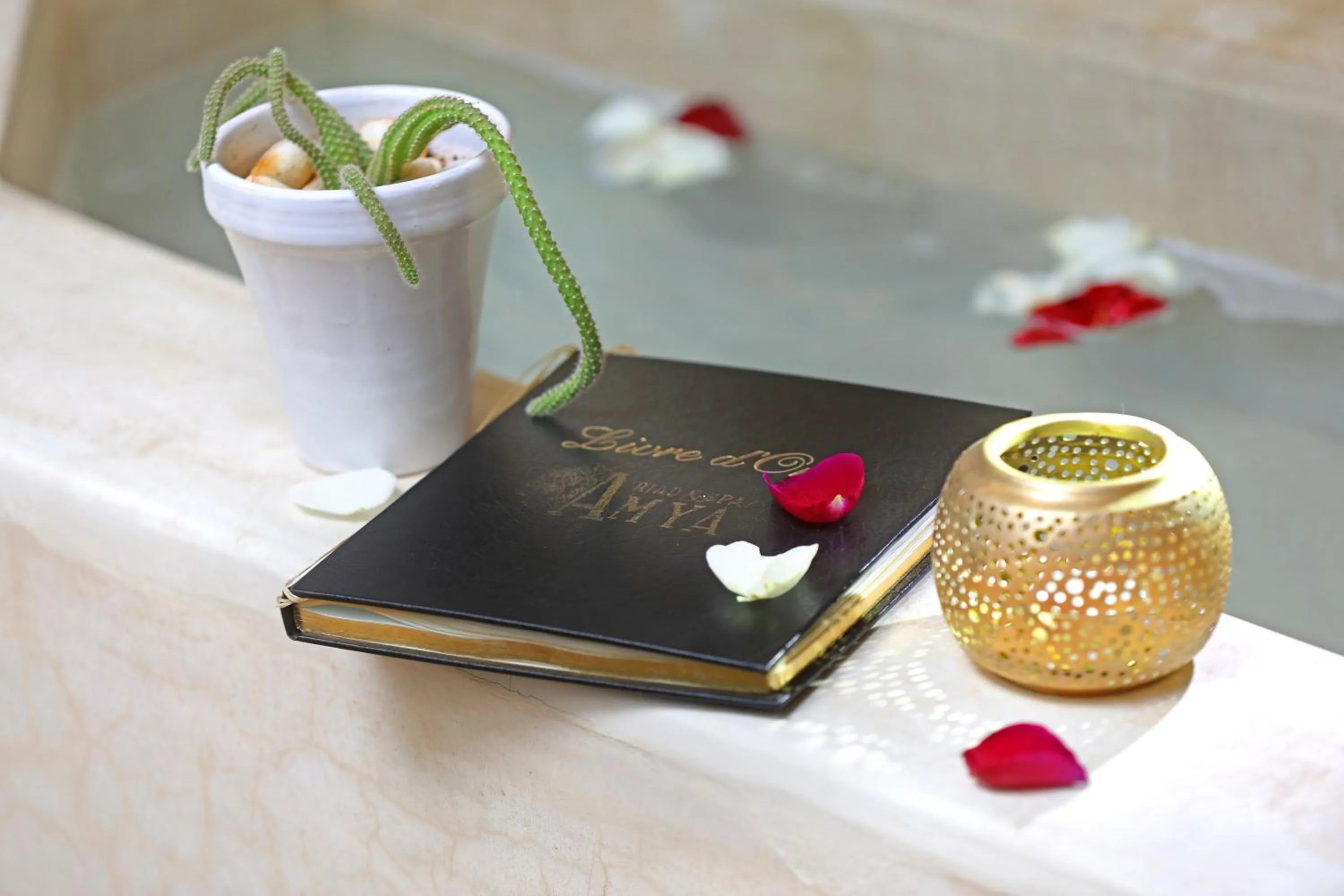 Decorative detail in Riad Amya & Spa