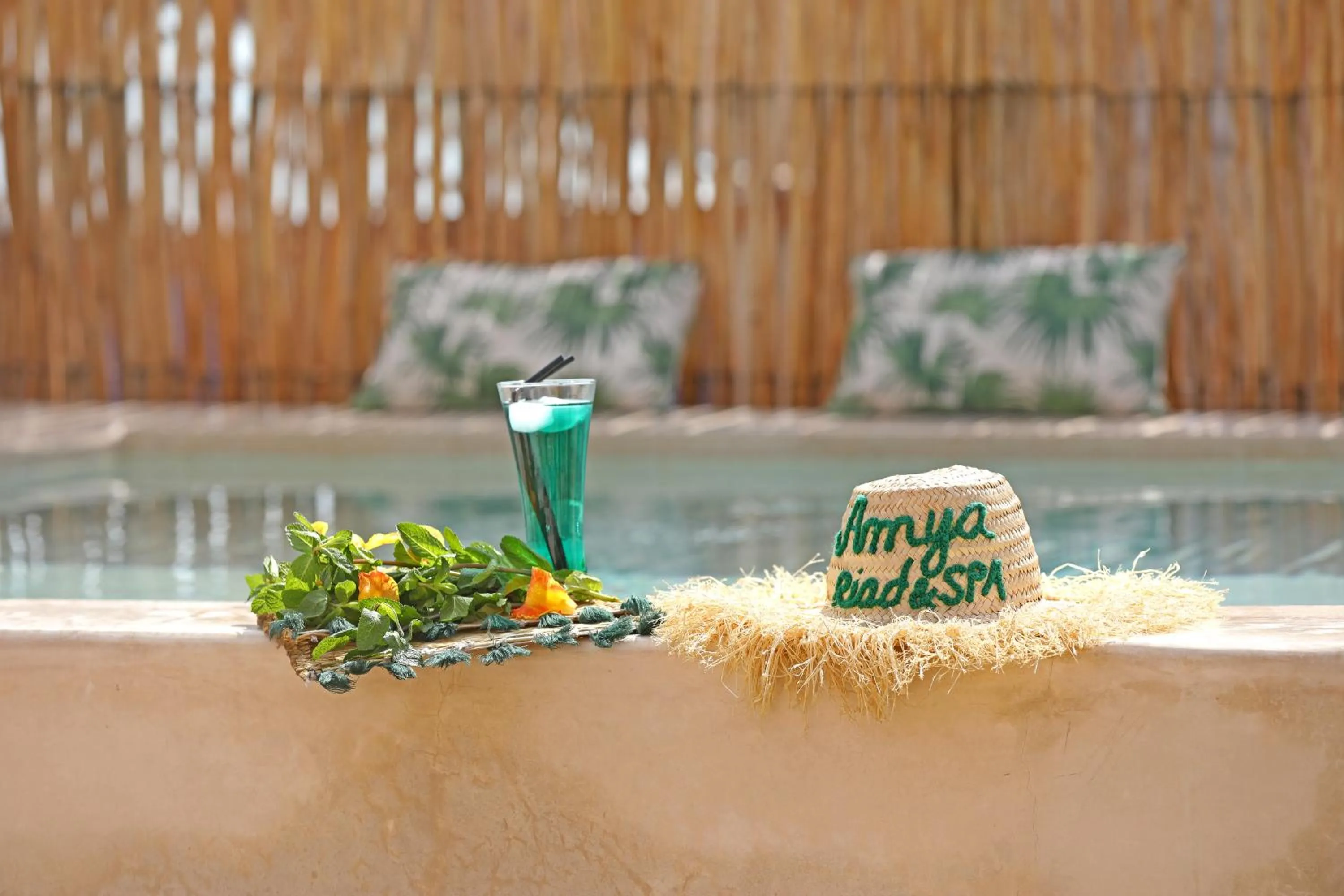 Pool view in Riad Amya & Spa