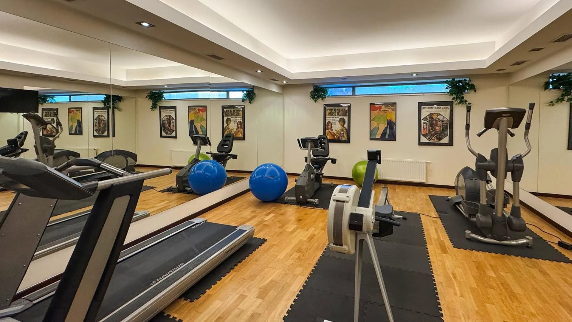 Fitness centre/facilities in Europeum Hotel