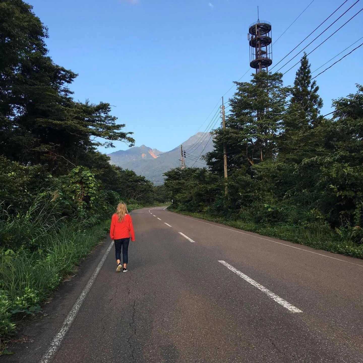 Myoko Woodland Lodge