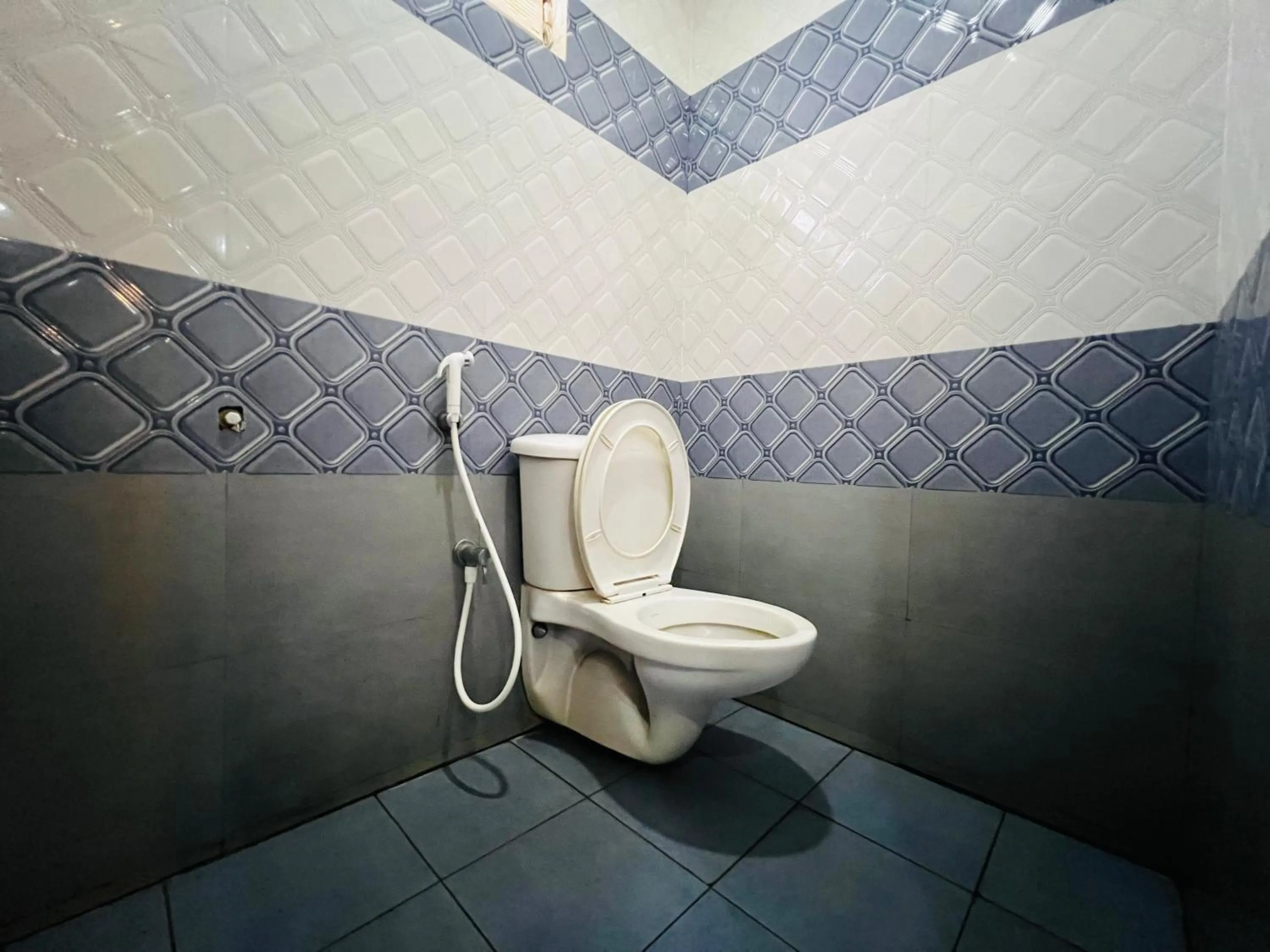 Toilet in TCS SUITES