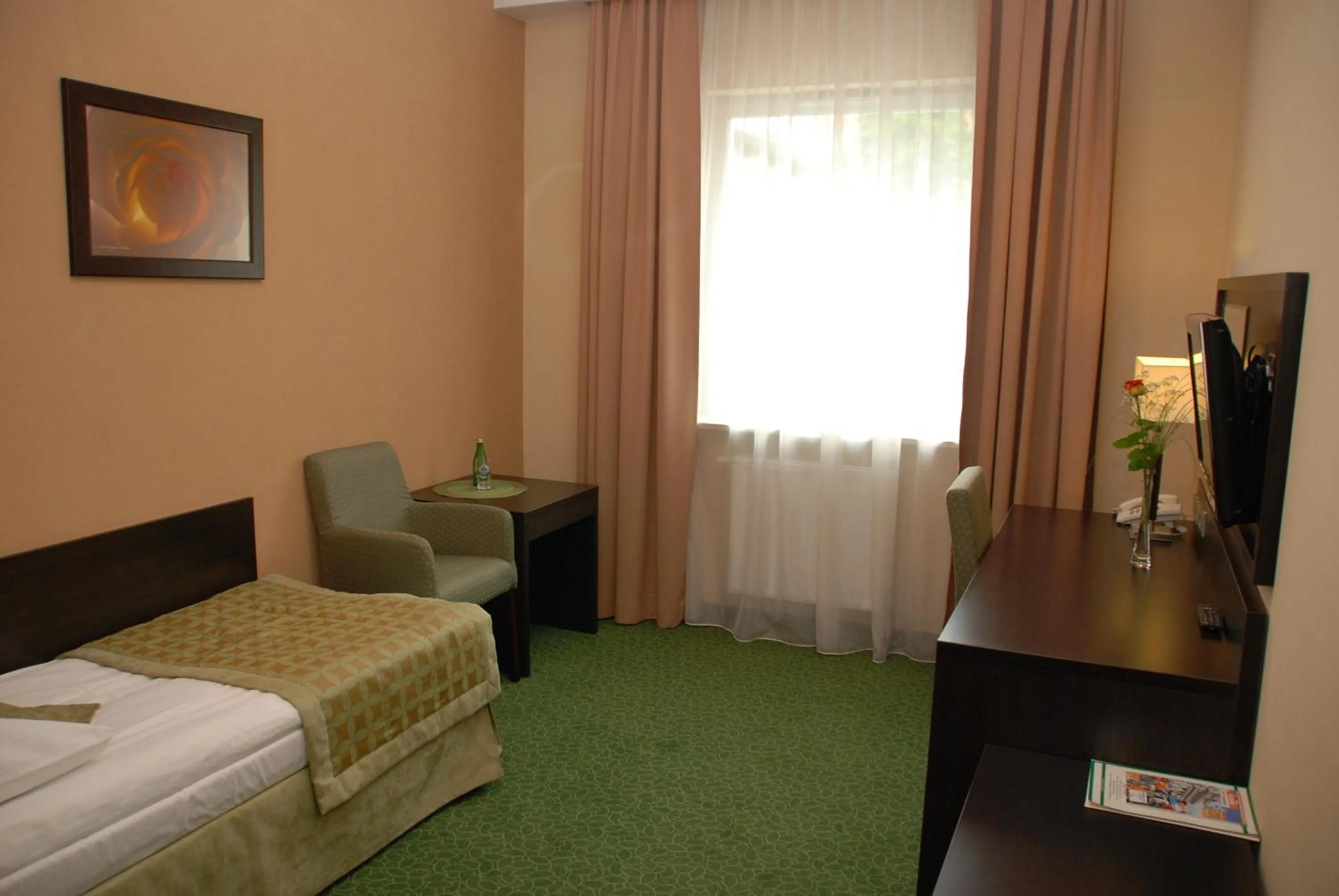 Single Room in Hotel Topaz Poznań Centrum
