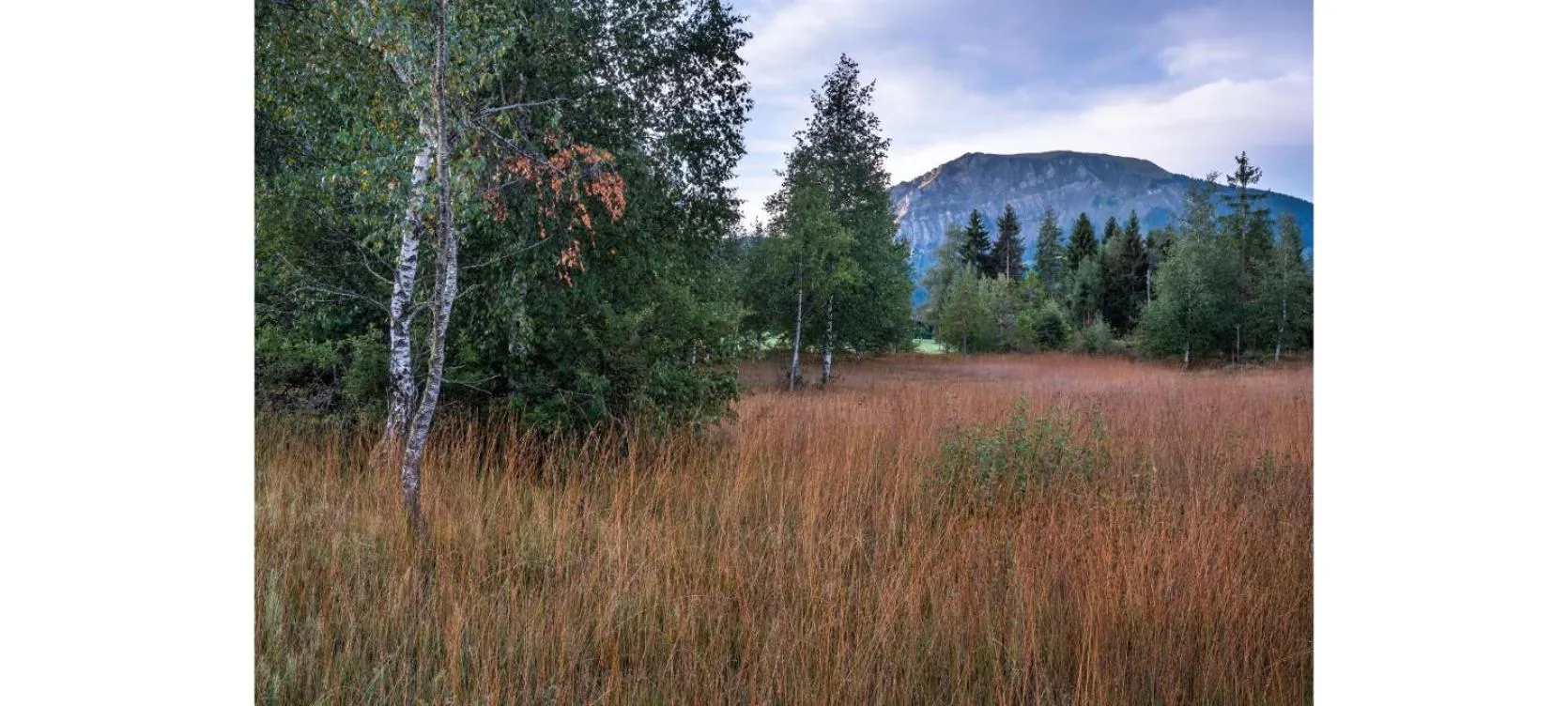 Hiking in Kurhaus Heiligkreuz