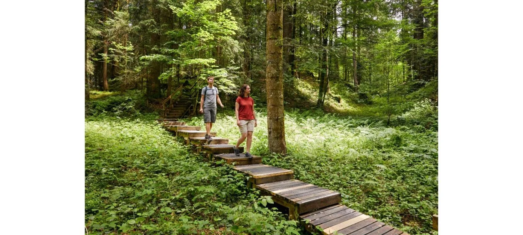 Hiking in Kurhaus Heiligkreuz