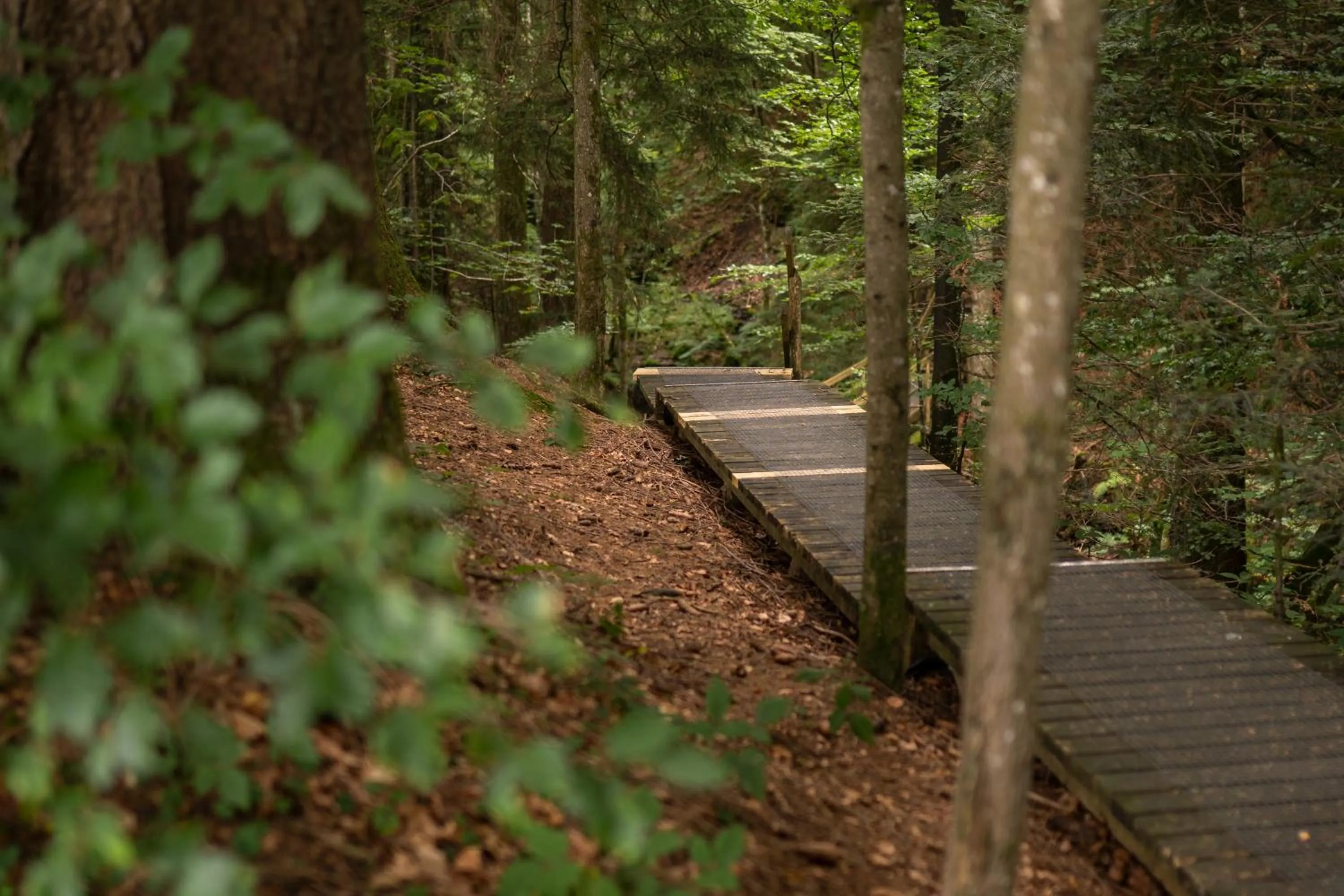 Hiking in Kurhaus Heiligkreuz