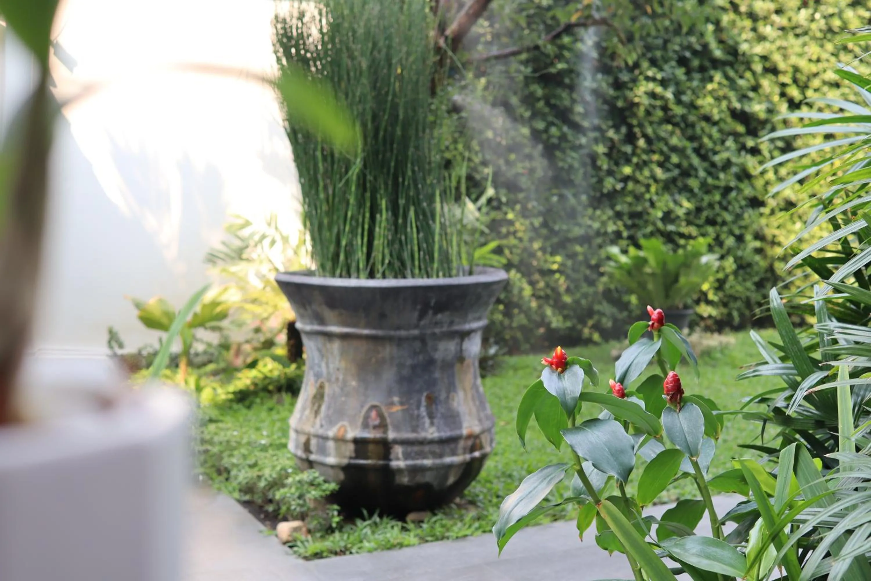 Garden view in Siri Village Chiang Mai