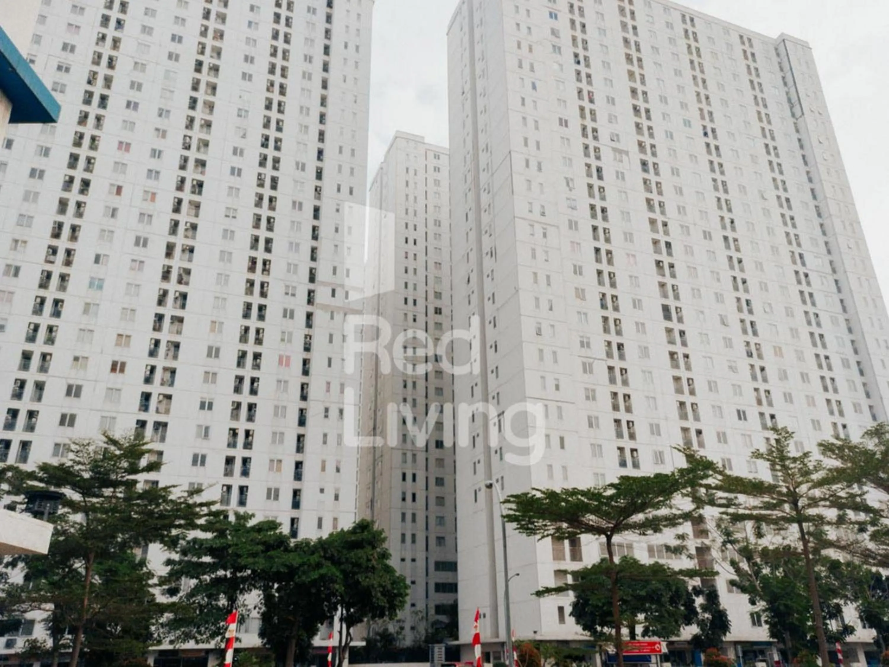 Property building in RedLiving Apartemen Bassura City - Aokla Property Tower Dahlia
