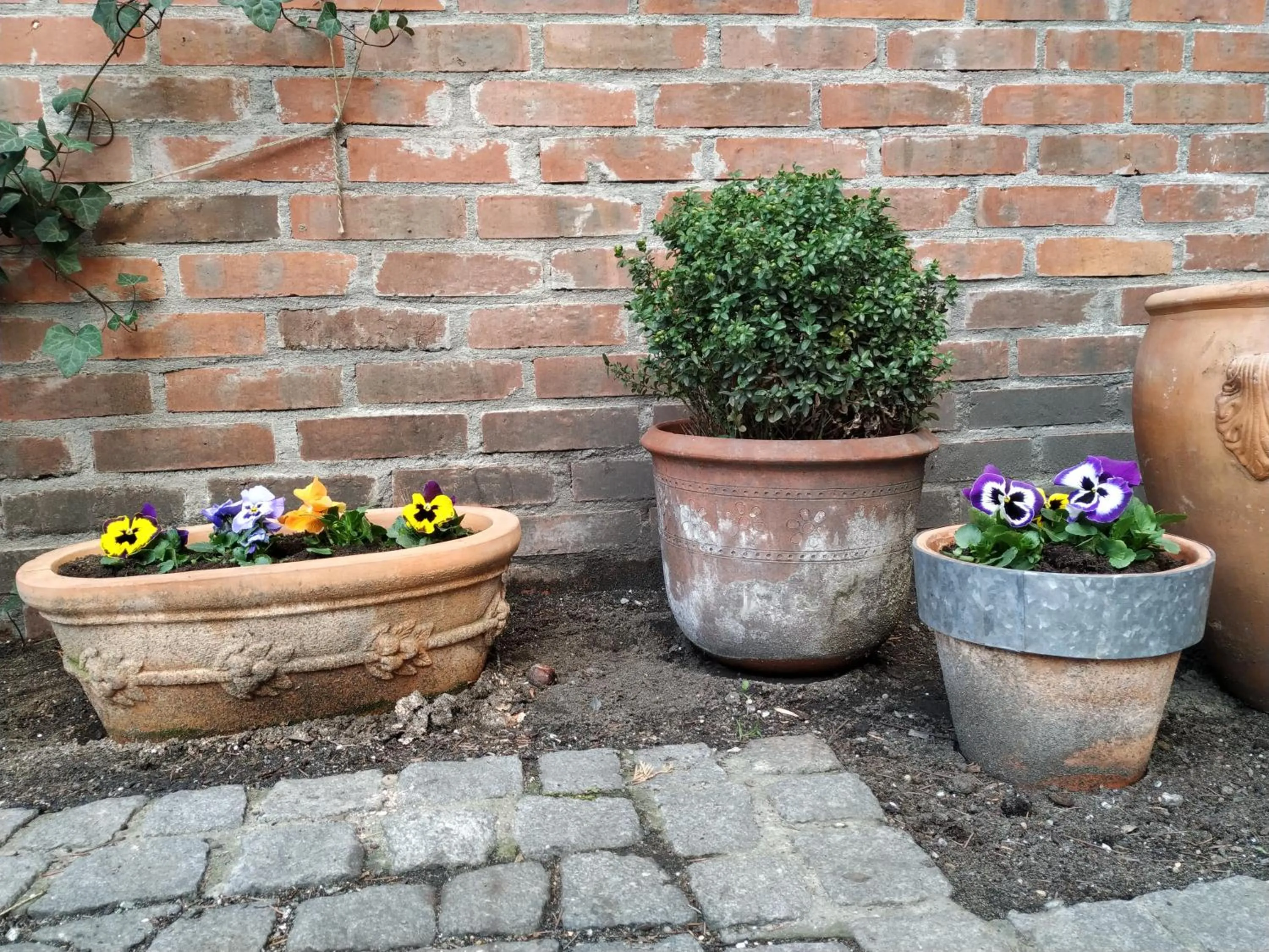 Natural landscape in Hotel Stare Miasto Old Town