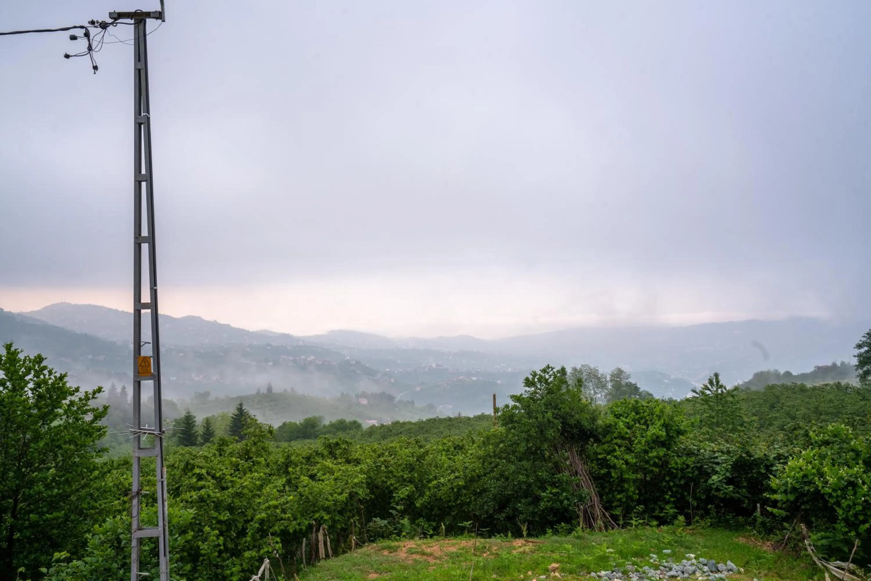 Day in POISON GARDEN SUİTE