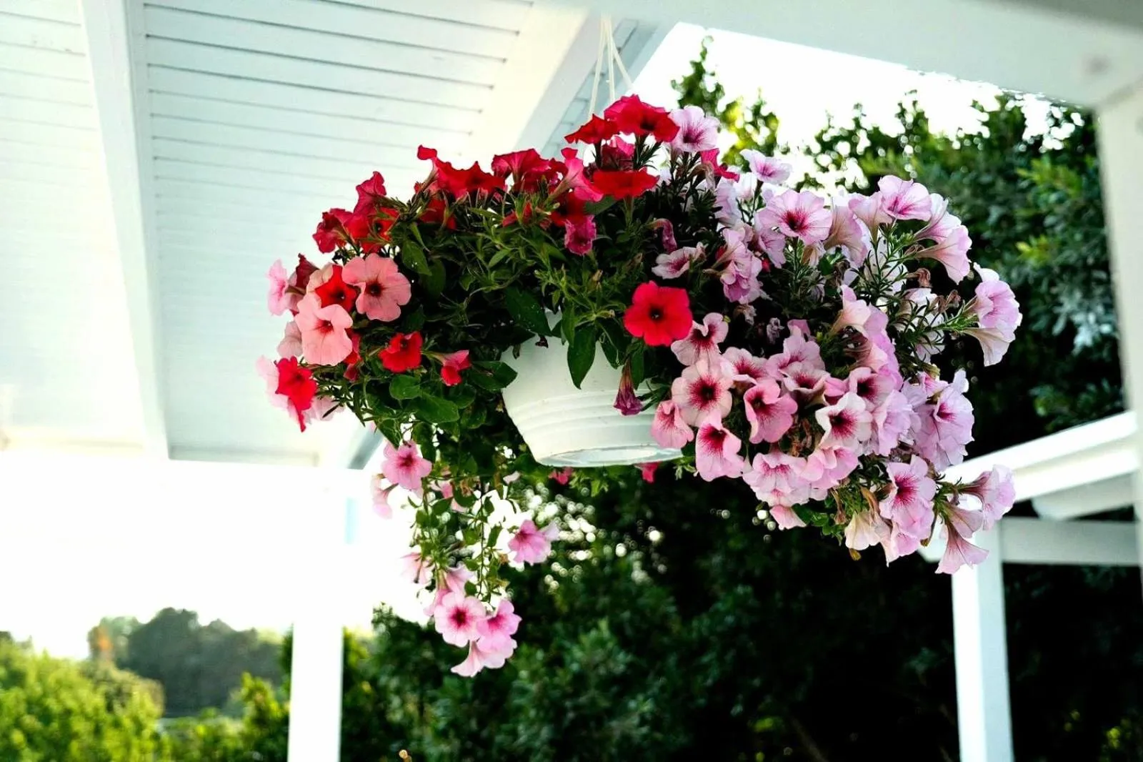 Benjamin Otel Gumusluk