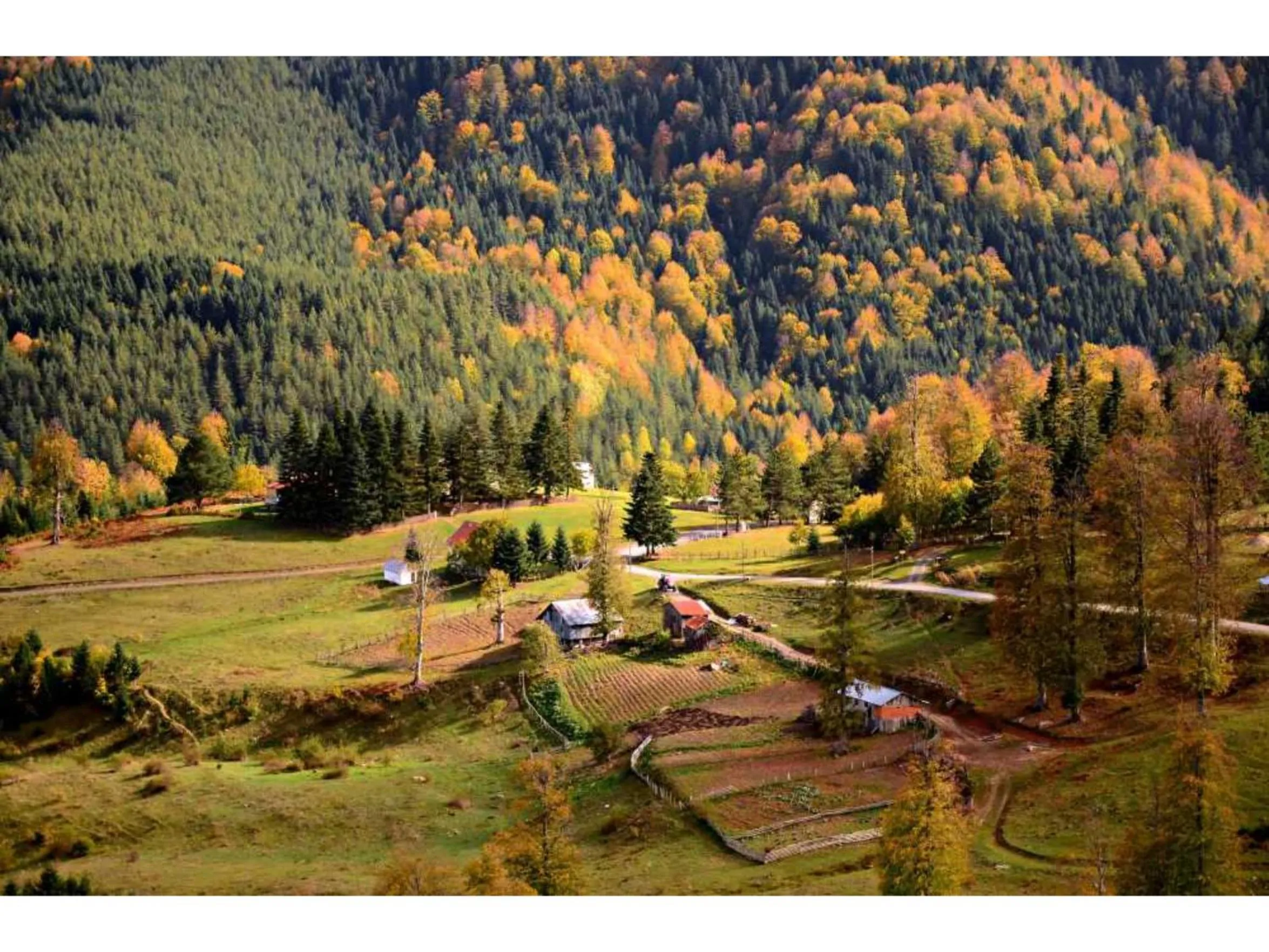 Toptepe Panorama Çiftlik Evi