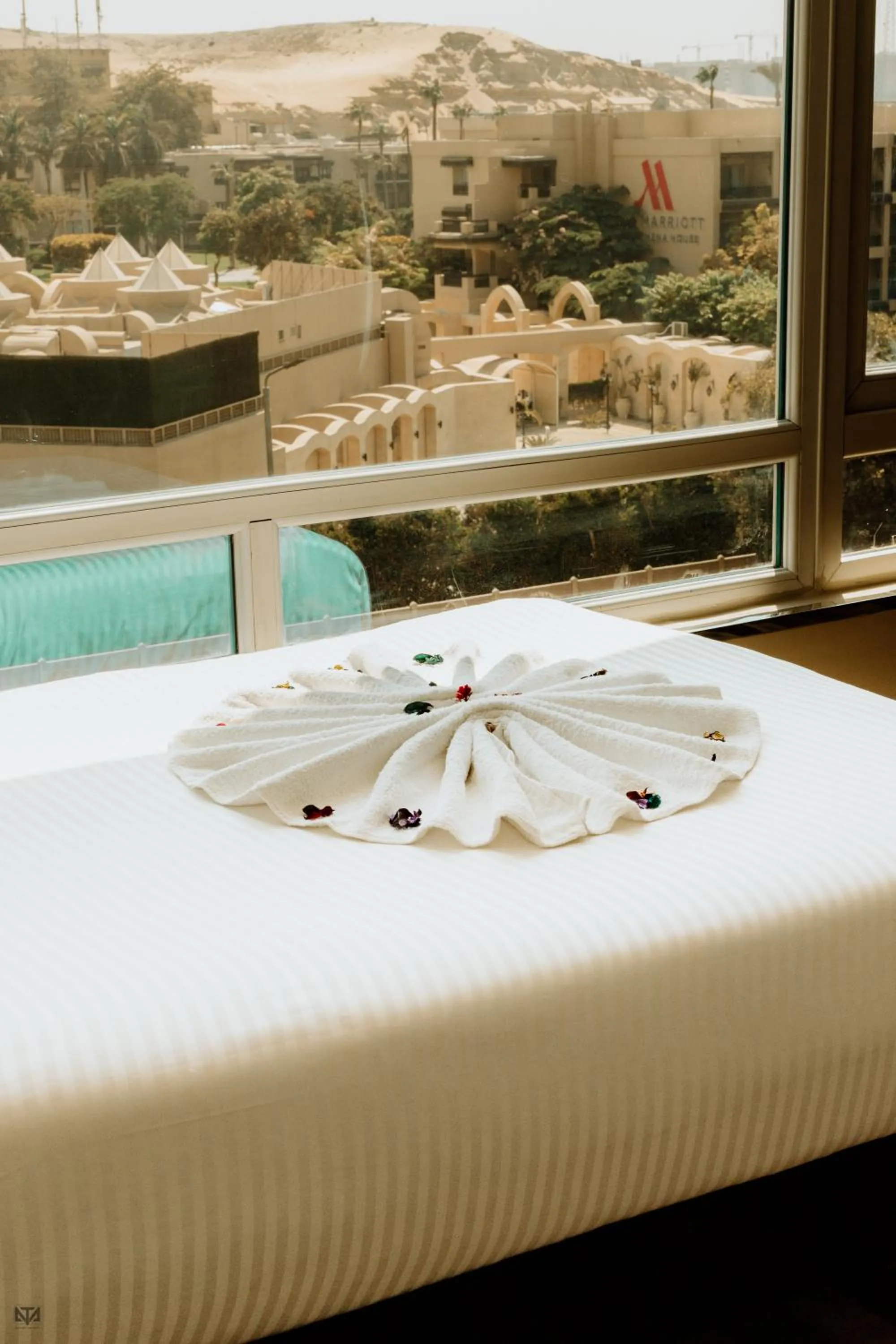 Turquoise Pyramids & Grand Egyptian museum view Hotel