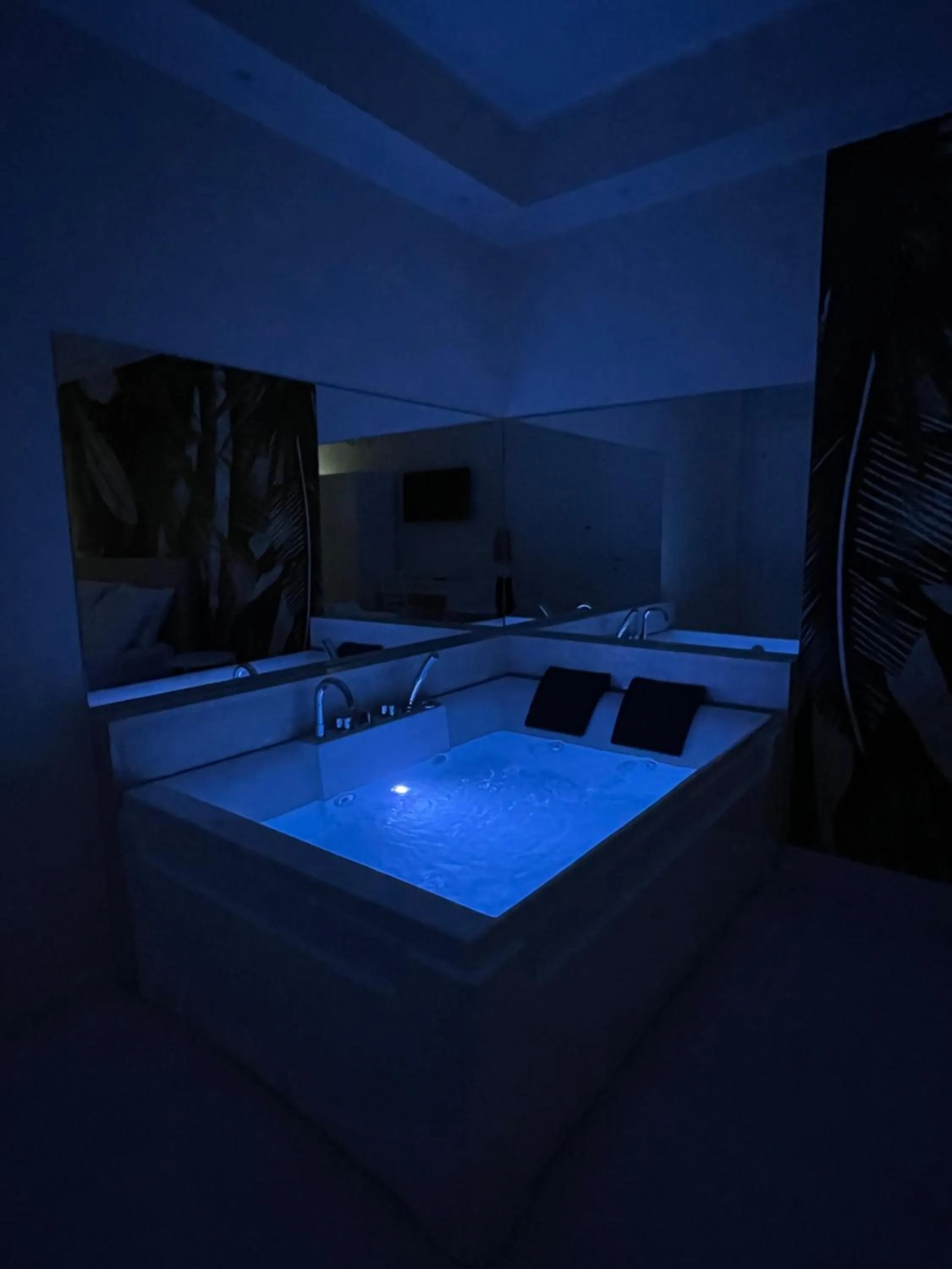 Swimming Pool in Suite 55 in centro