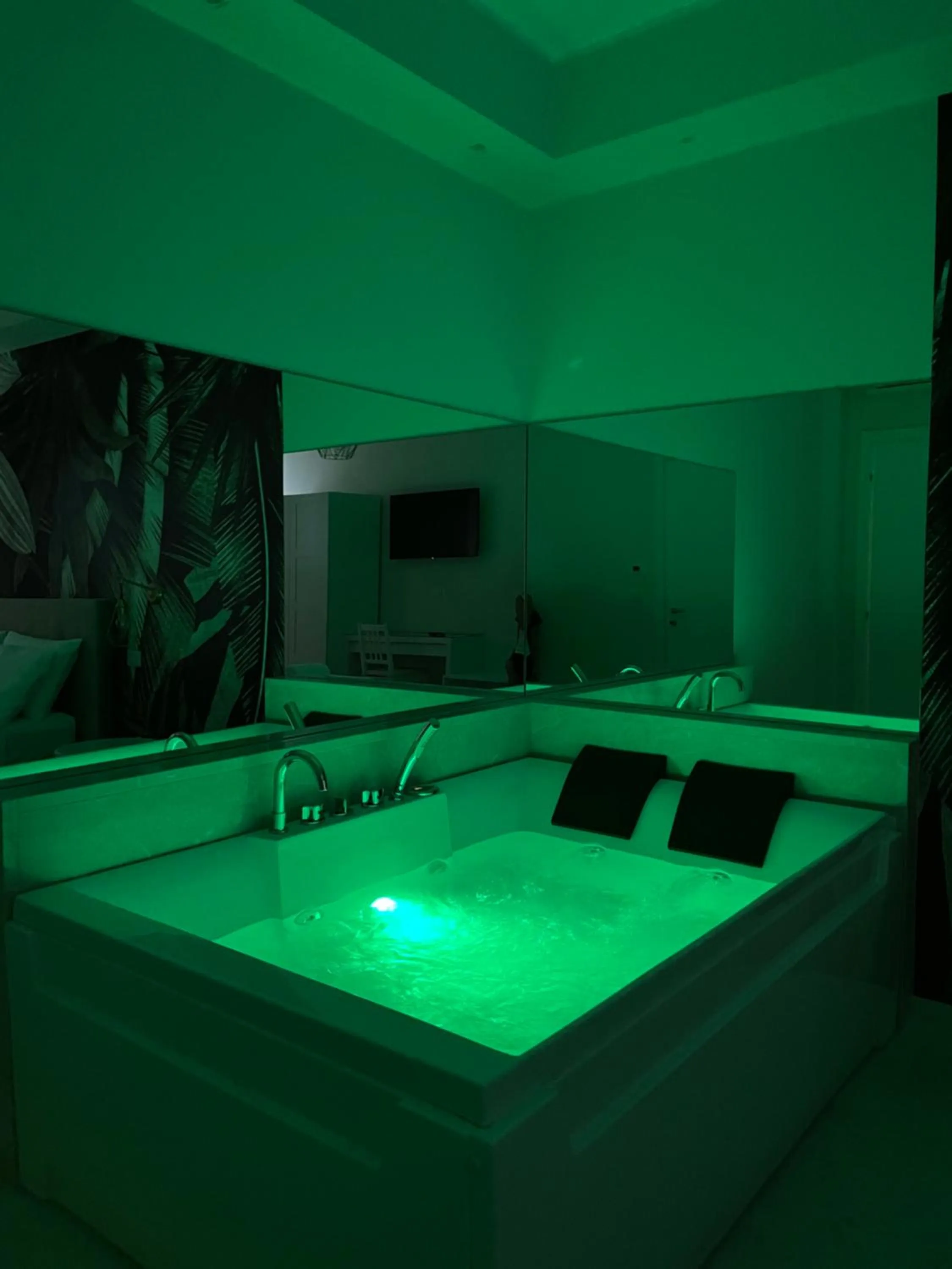 Swimming Pool in Suite 55 in centro