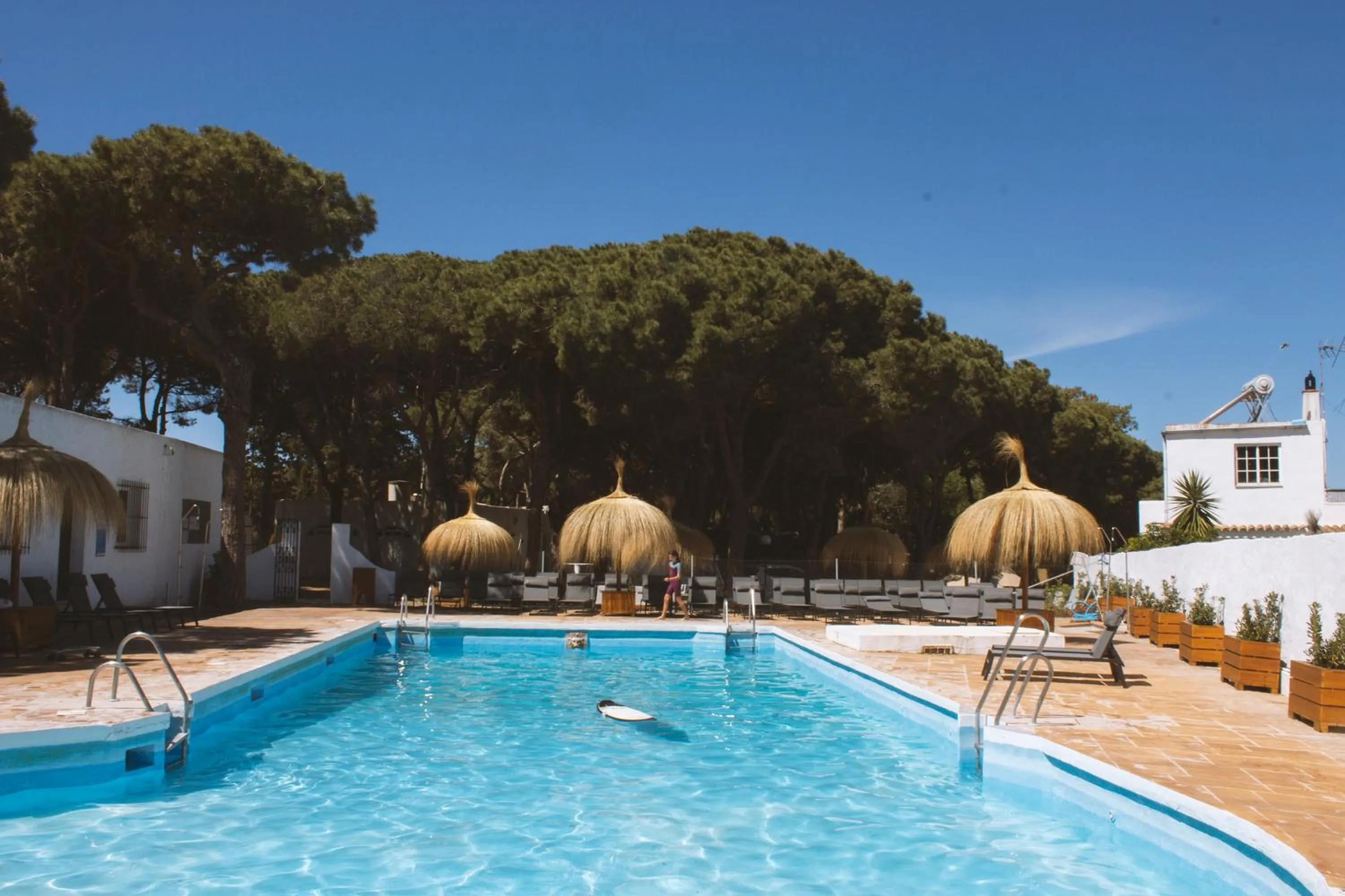 Swimming pool in TAIGA Conil