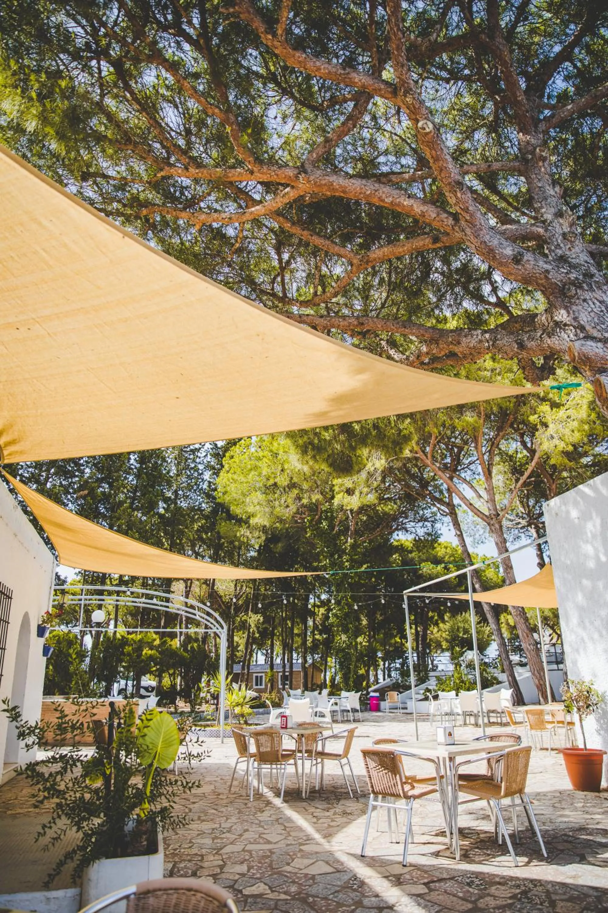 Restaurant/places to eat in TAIGA Conil