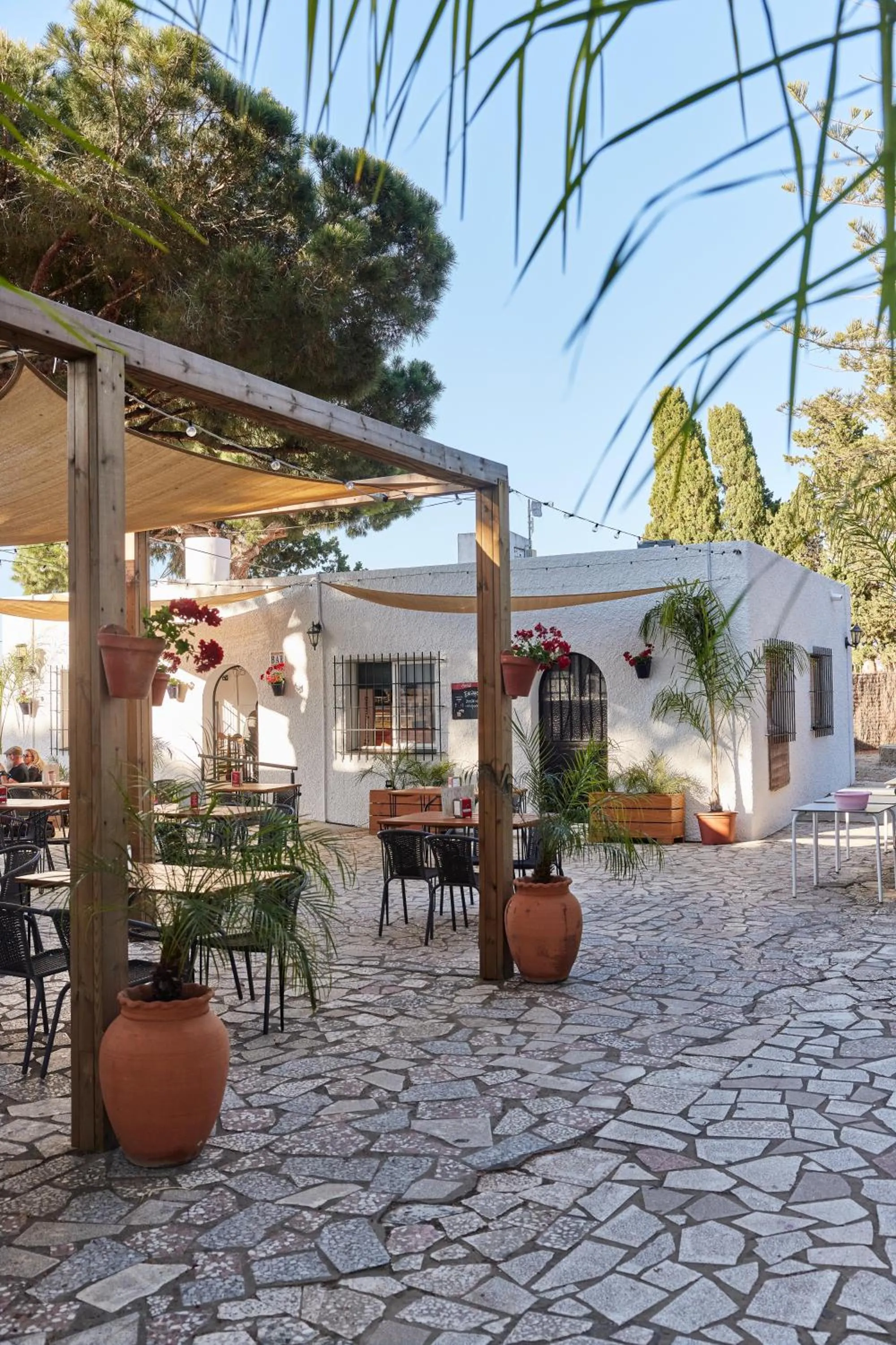 Property building in TAIGA Conil