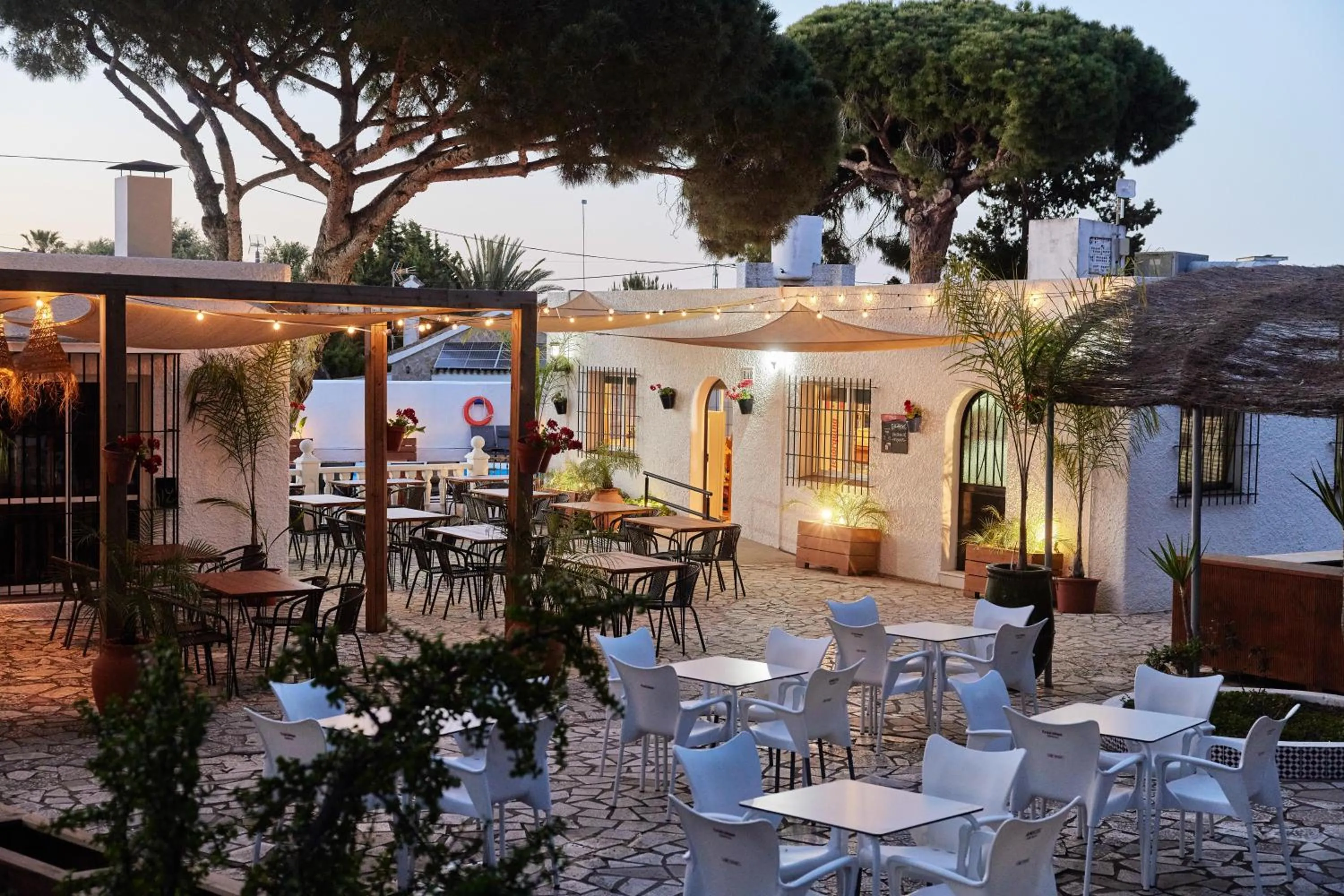 Restaurant/places to eat in TAIGA Conil