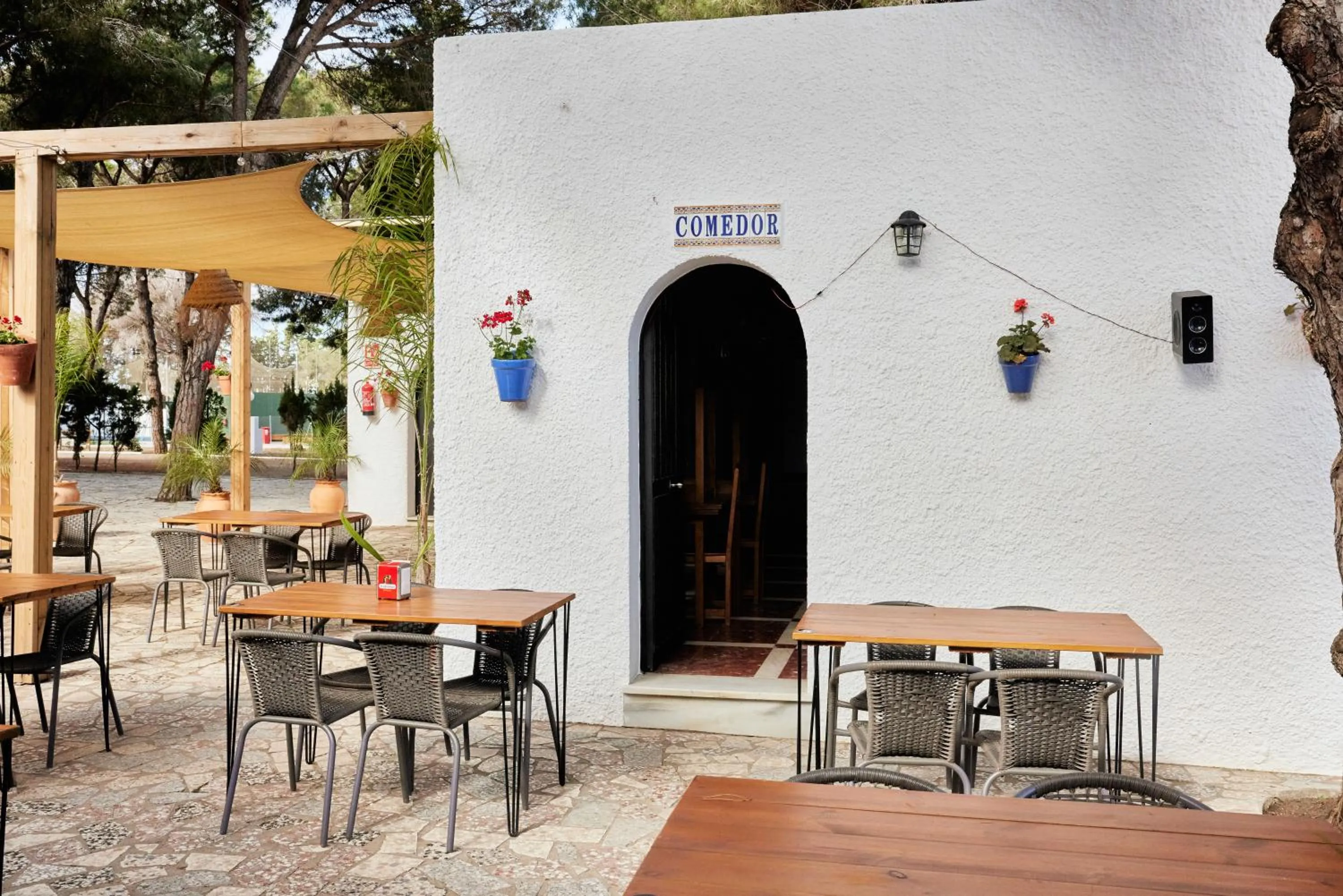 Restaurant/places to eat in TAIGA Conil