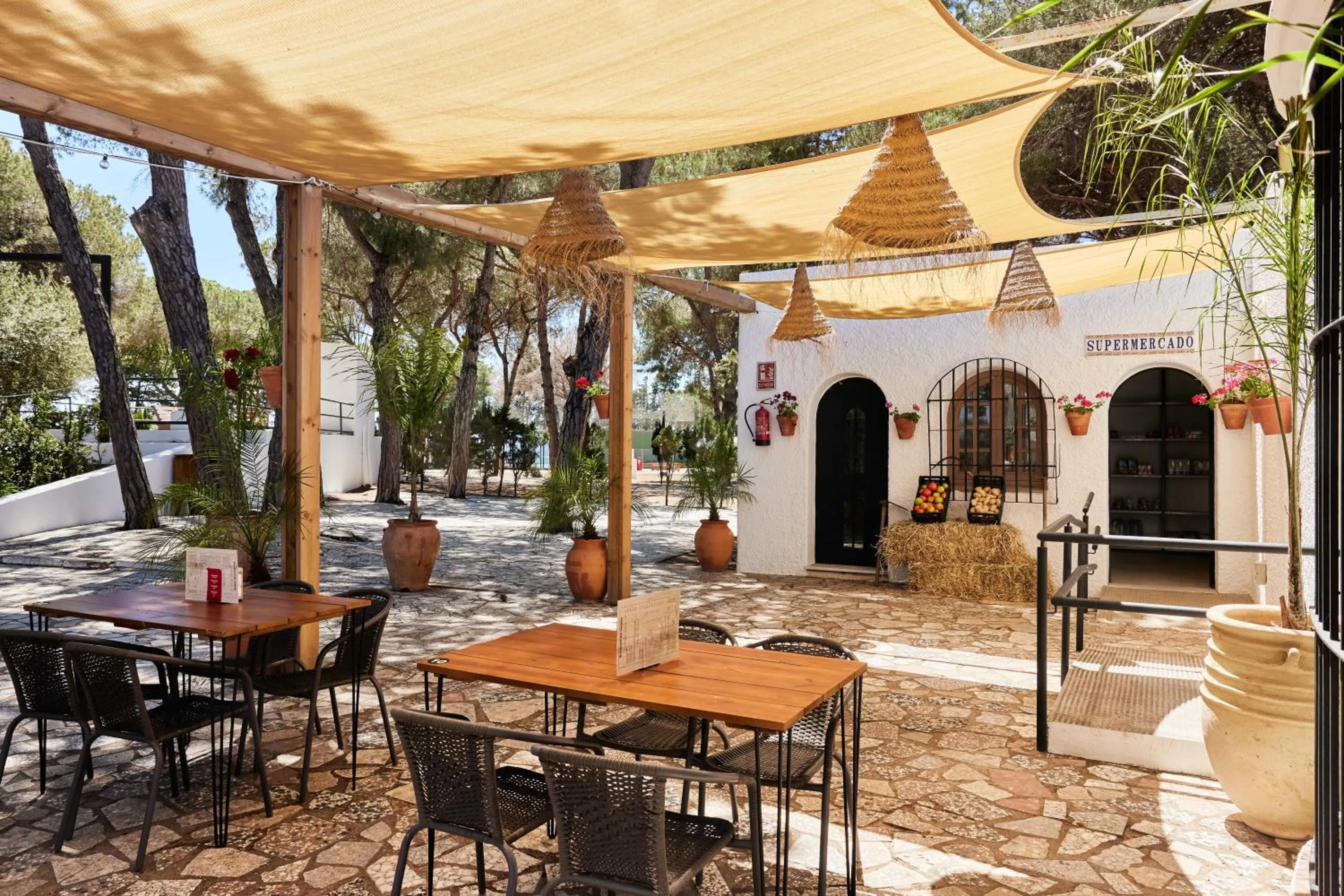 Restaurant/places to eat in TAIGA Conil