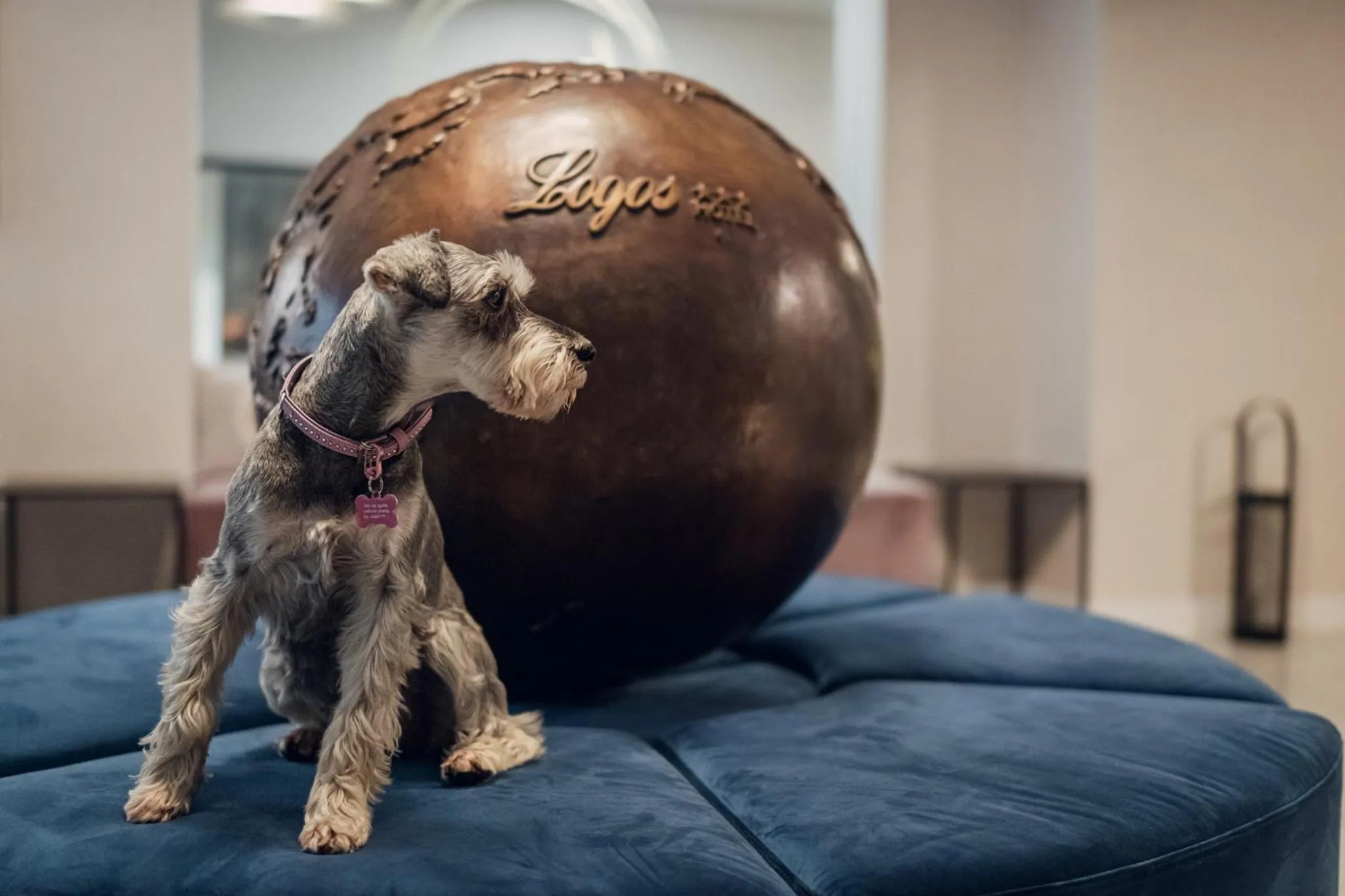 Lobby or reception in Hotel Logos Kraków