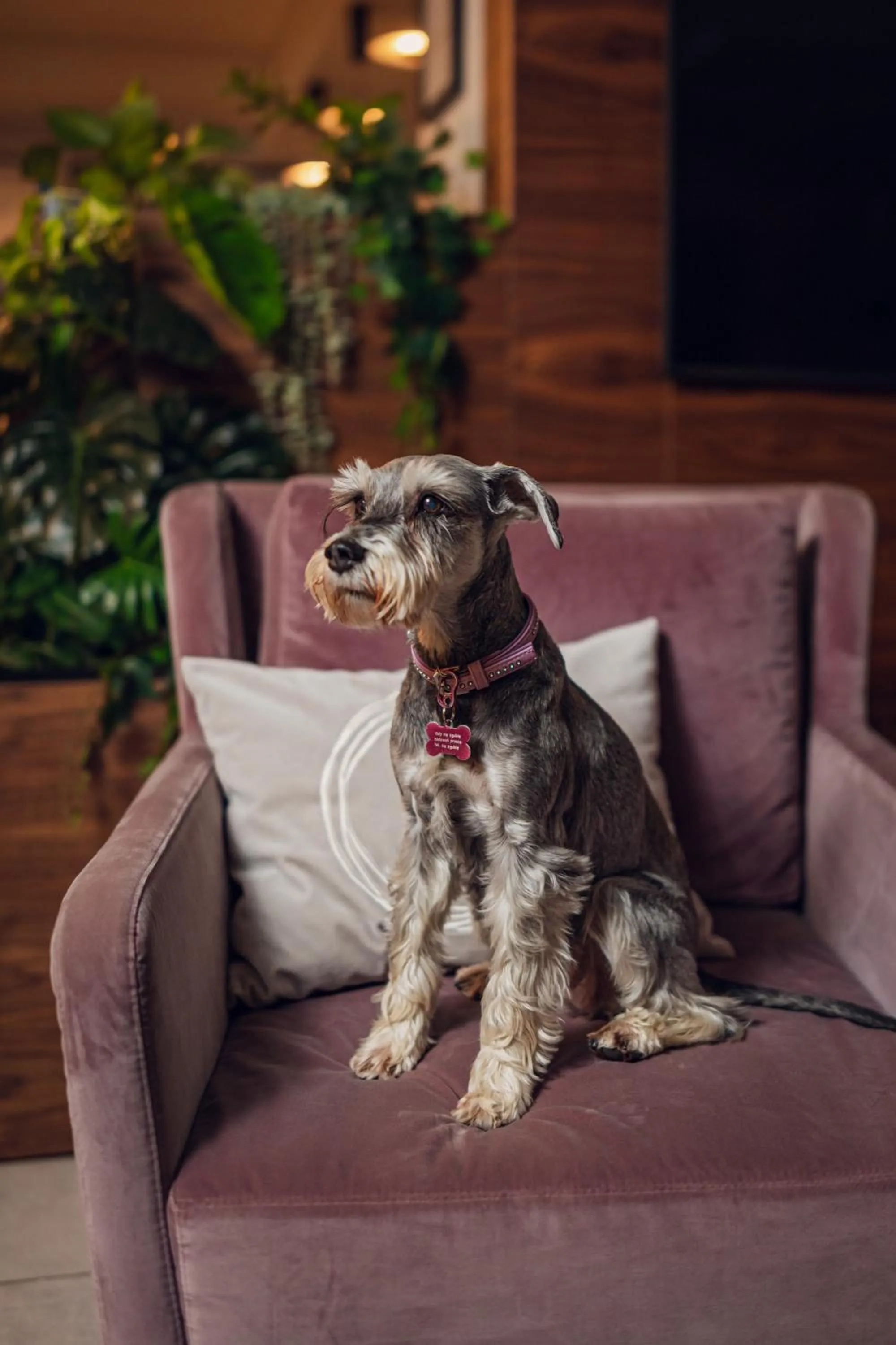 Lobby or reception in Hotel Logos Kraków