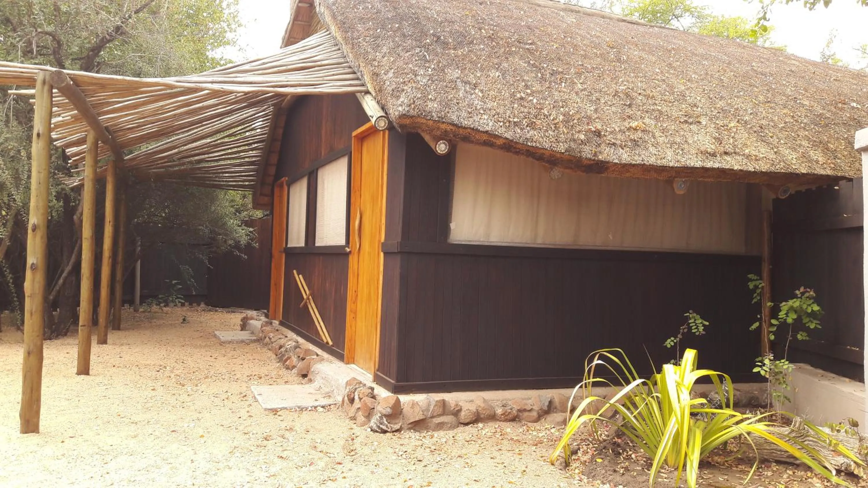 Property building in Off Beat Safaris Bush Lodge