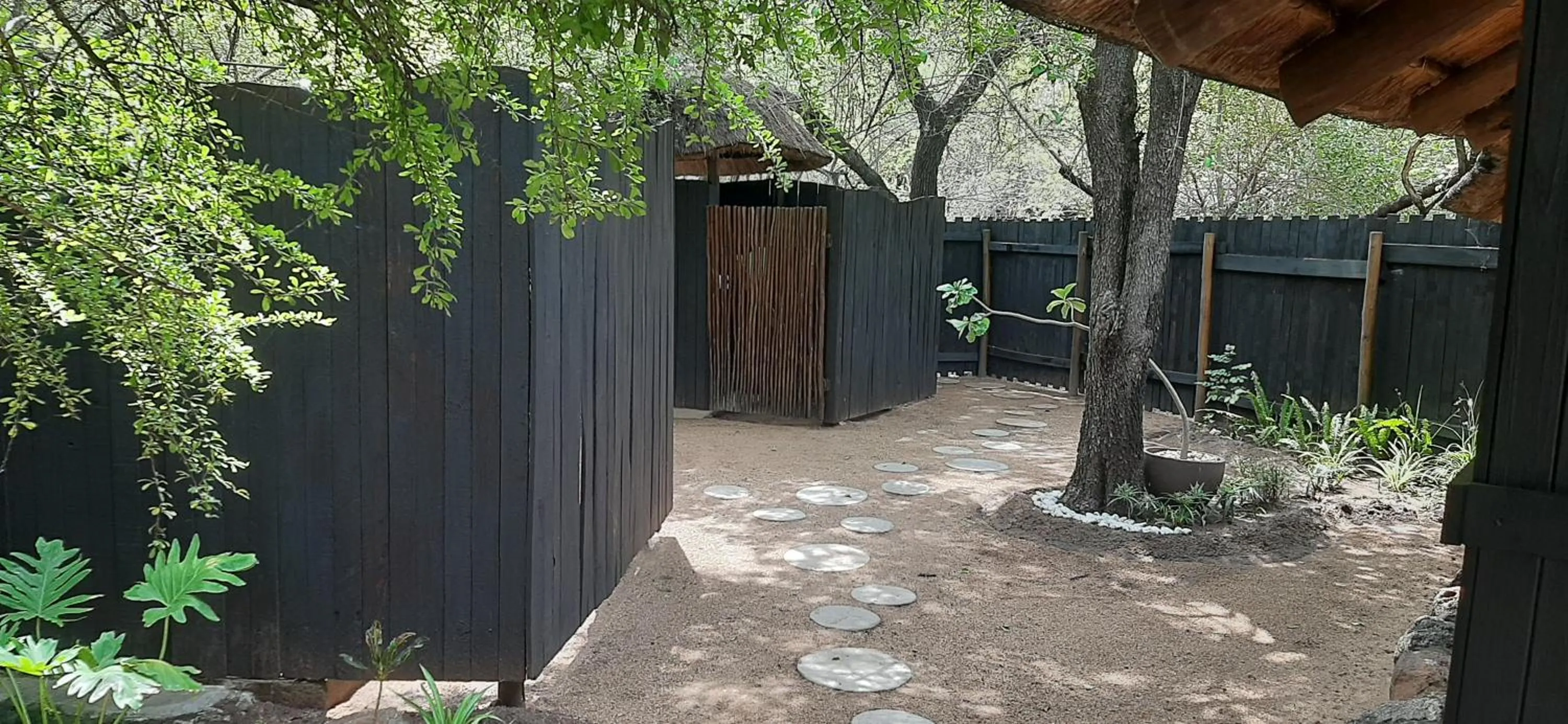 Garden view in Off Beat Safaris Bush Lodge