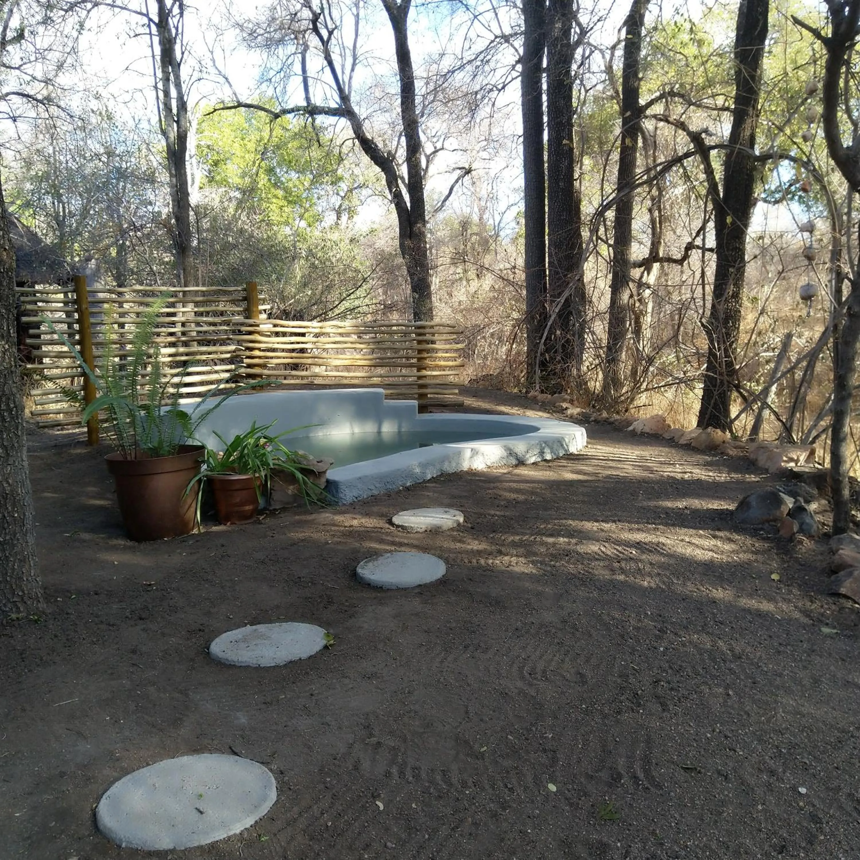 Swimming pool in Off Beat Safaris Bush Lodge