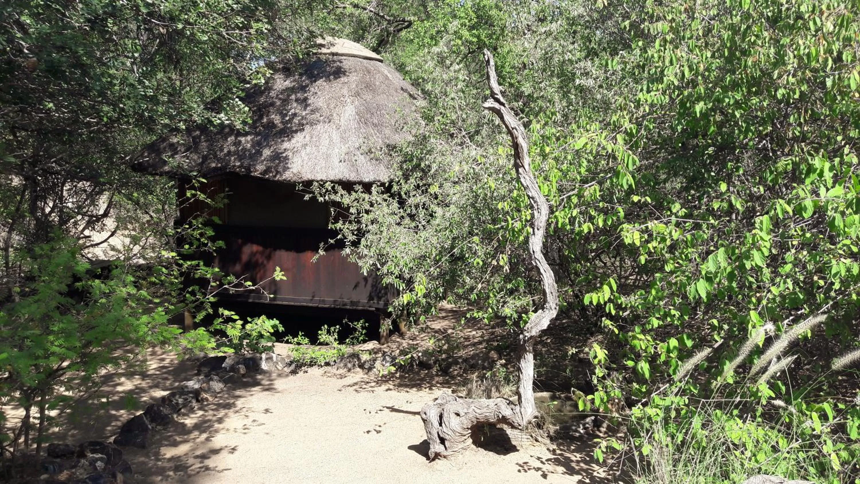 Property building in Off Beat Safaris Bush Lodge