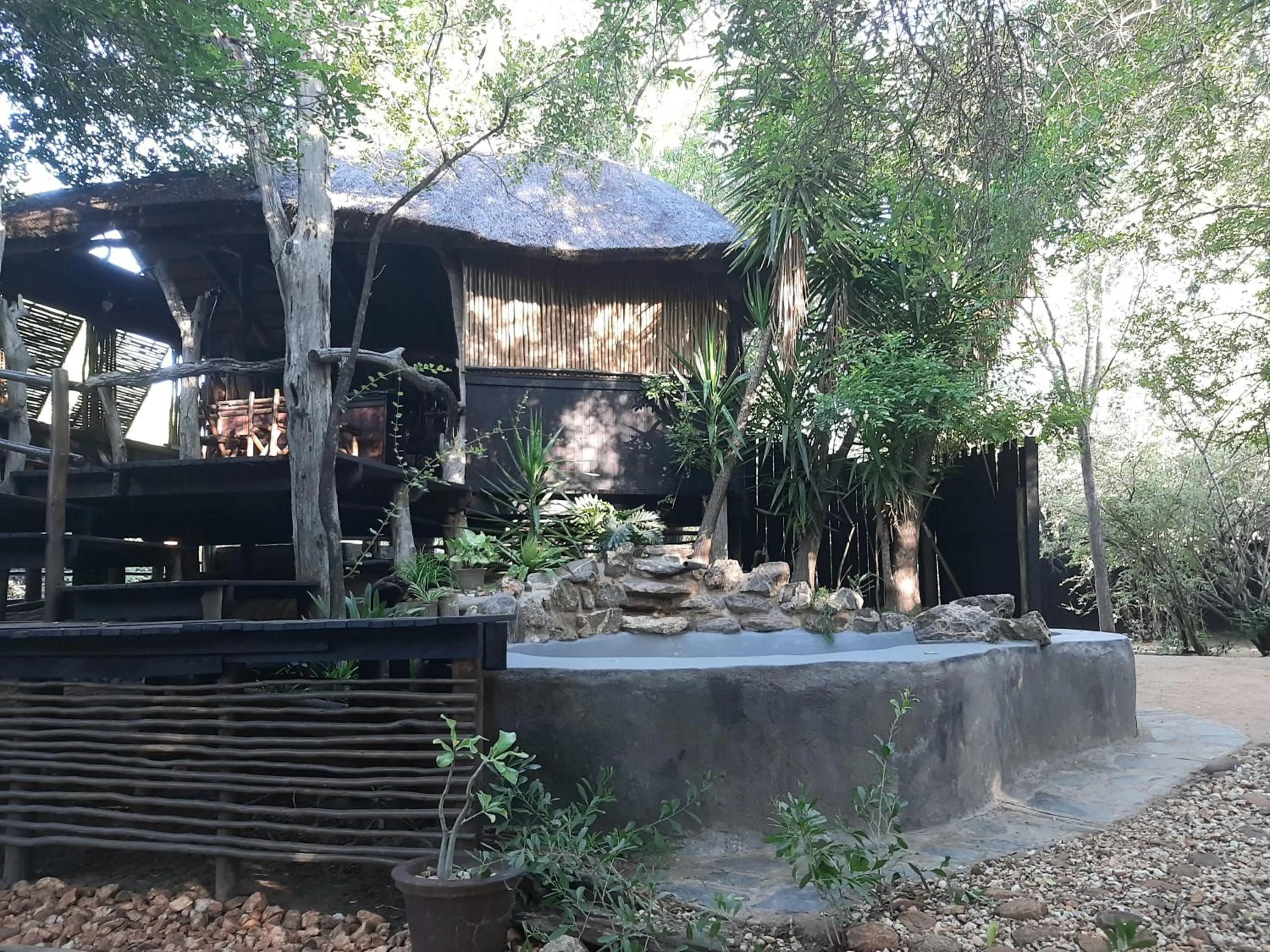 Garden in Off Beat Safaris Bush Lodge