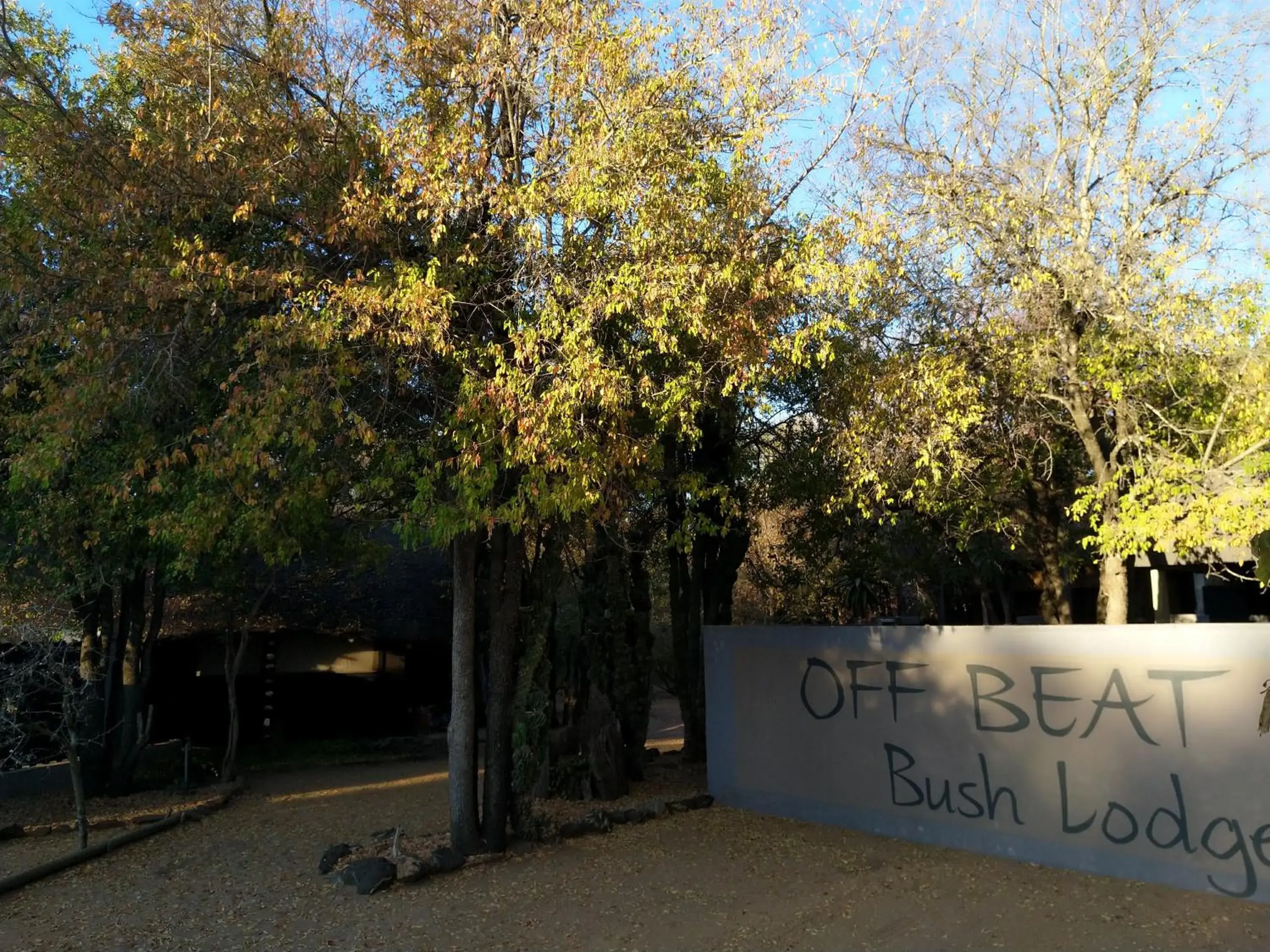Family Unit in Off Beat Safaris Bush Lodge Family Unit in Off Beat Safaris Bush Lodge