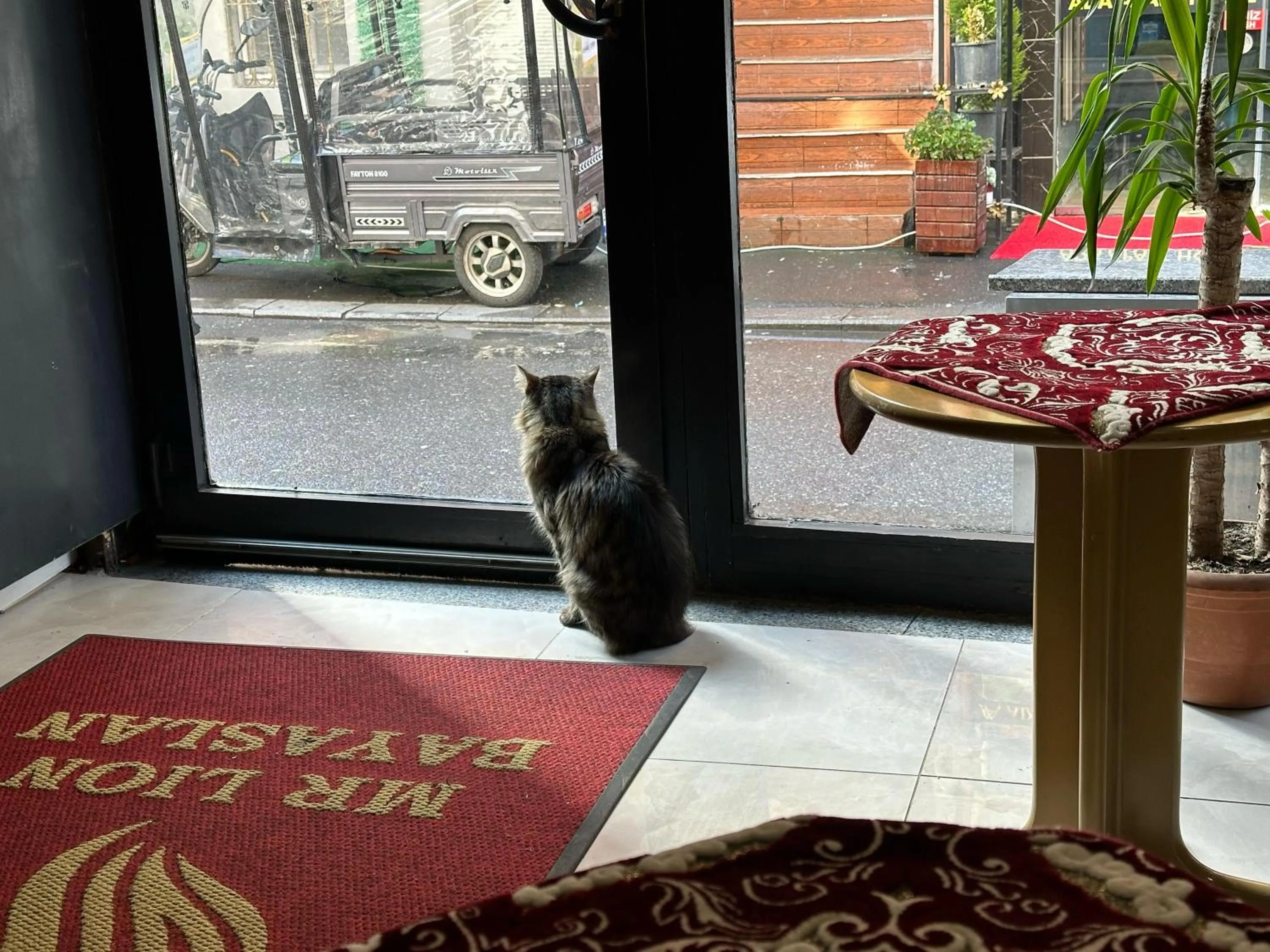 Lobby or reception in Mr Lion Kumkapı Otel