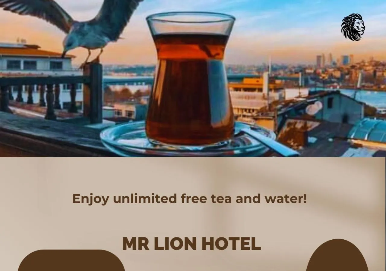 Mr Lion Kumkapı Otel