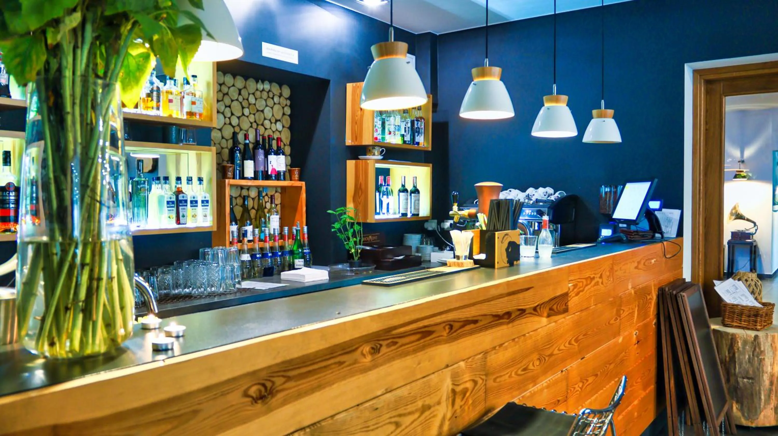 Lounge or bar in Boutique Eco Hotel Sasanka