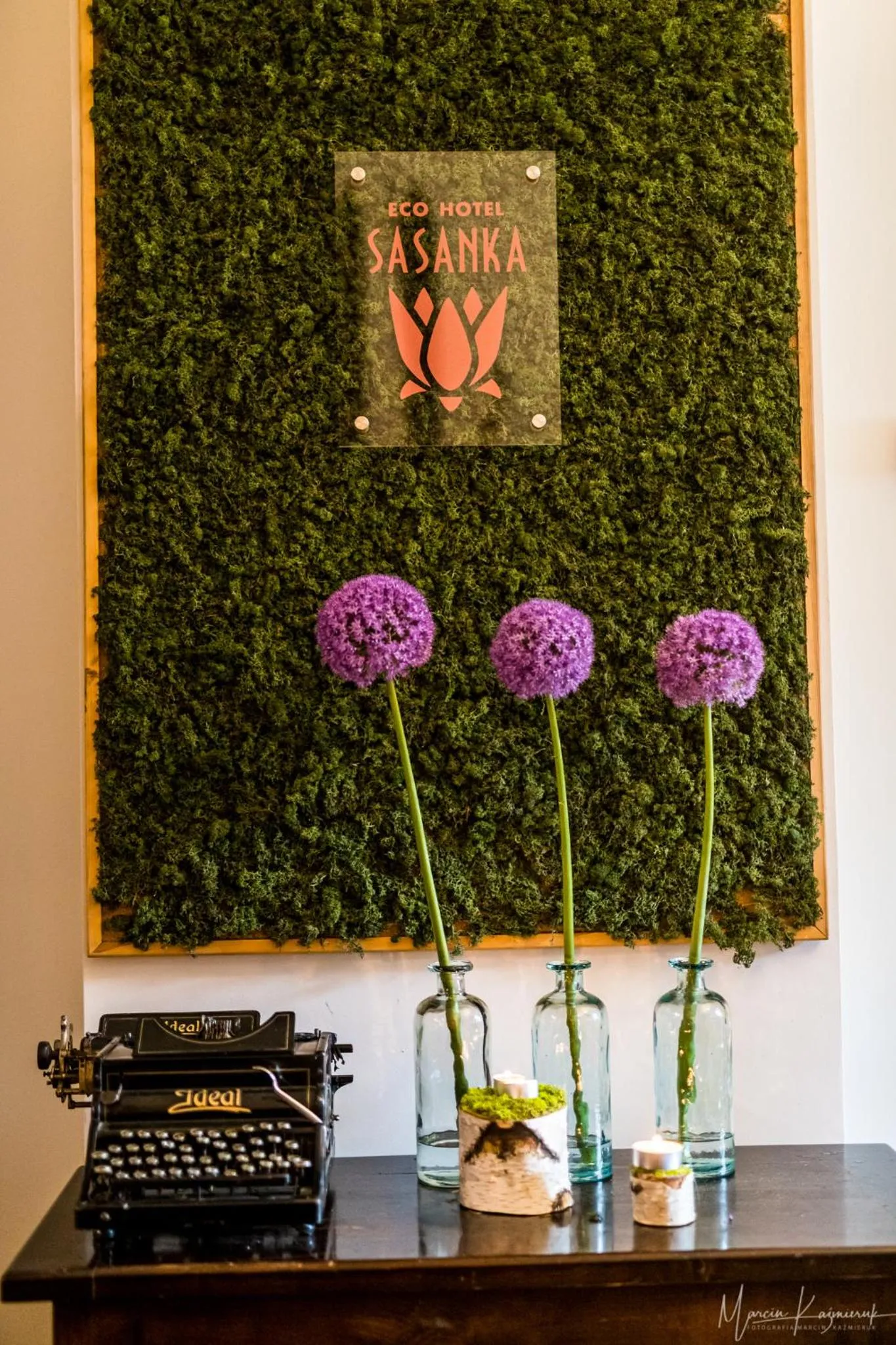 Lobby or reception in Boutique Eco Hotel Sasanka