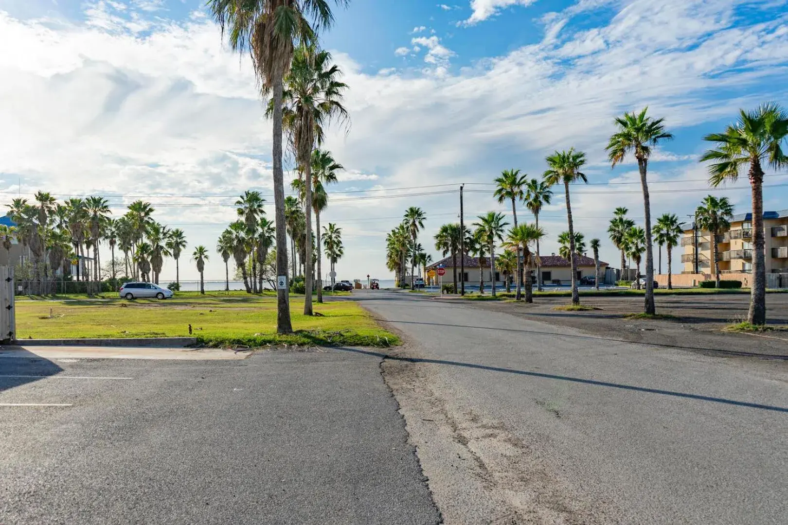 Atrium #102 Atrium #102